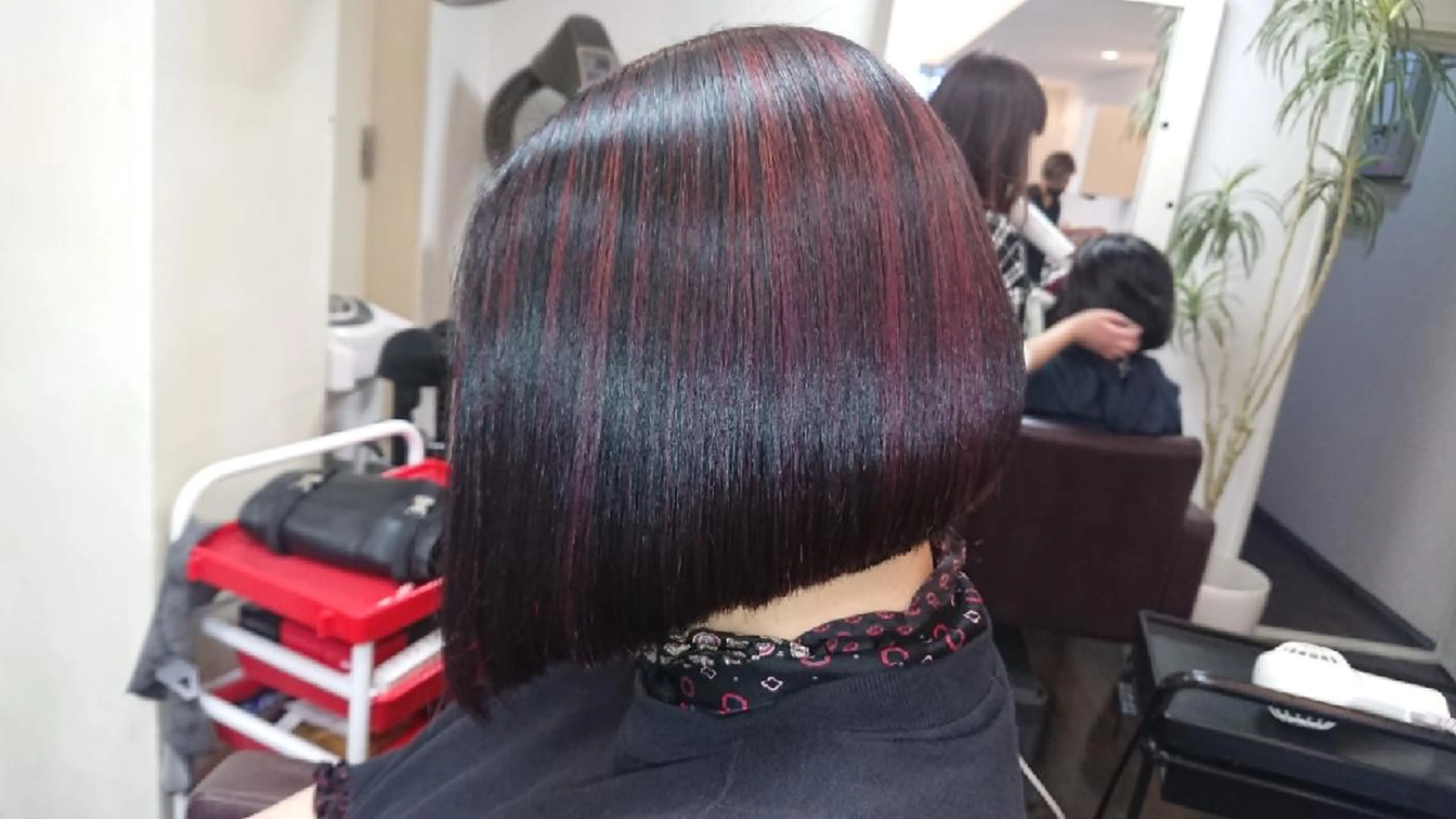 ショート カラー ボブ 遠藤 史秋のヘアスタイル