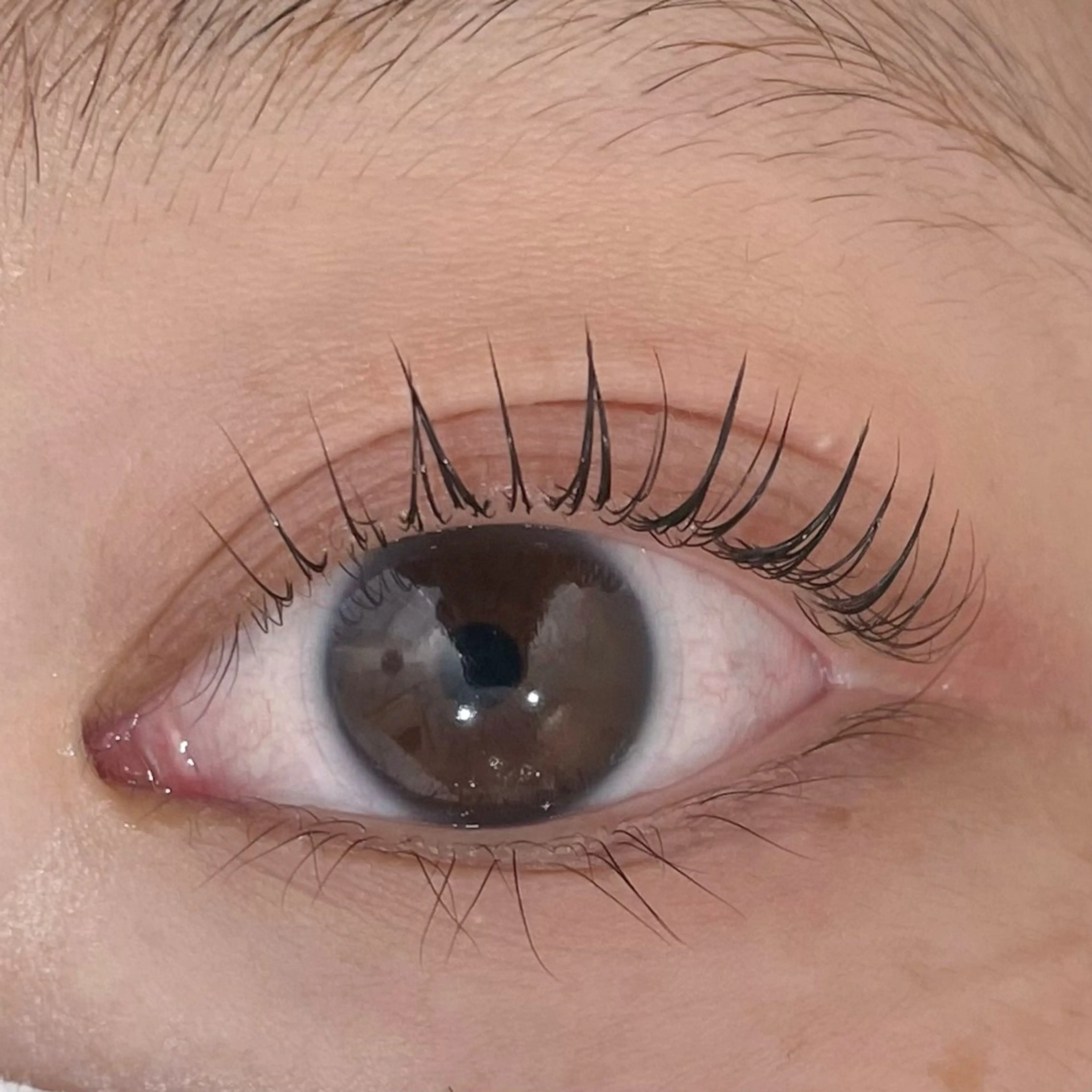 マツエク・マツパ マツパ HAYAKAWA YUURIのマツエク・マツパデザイン