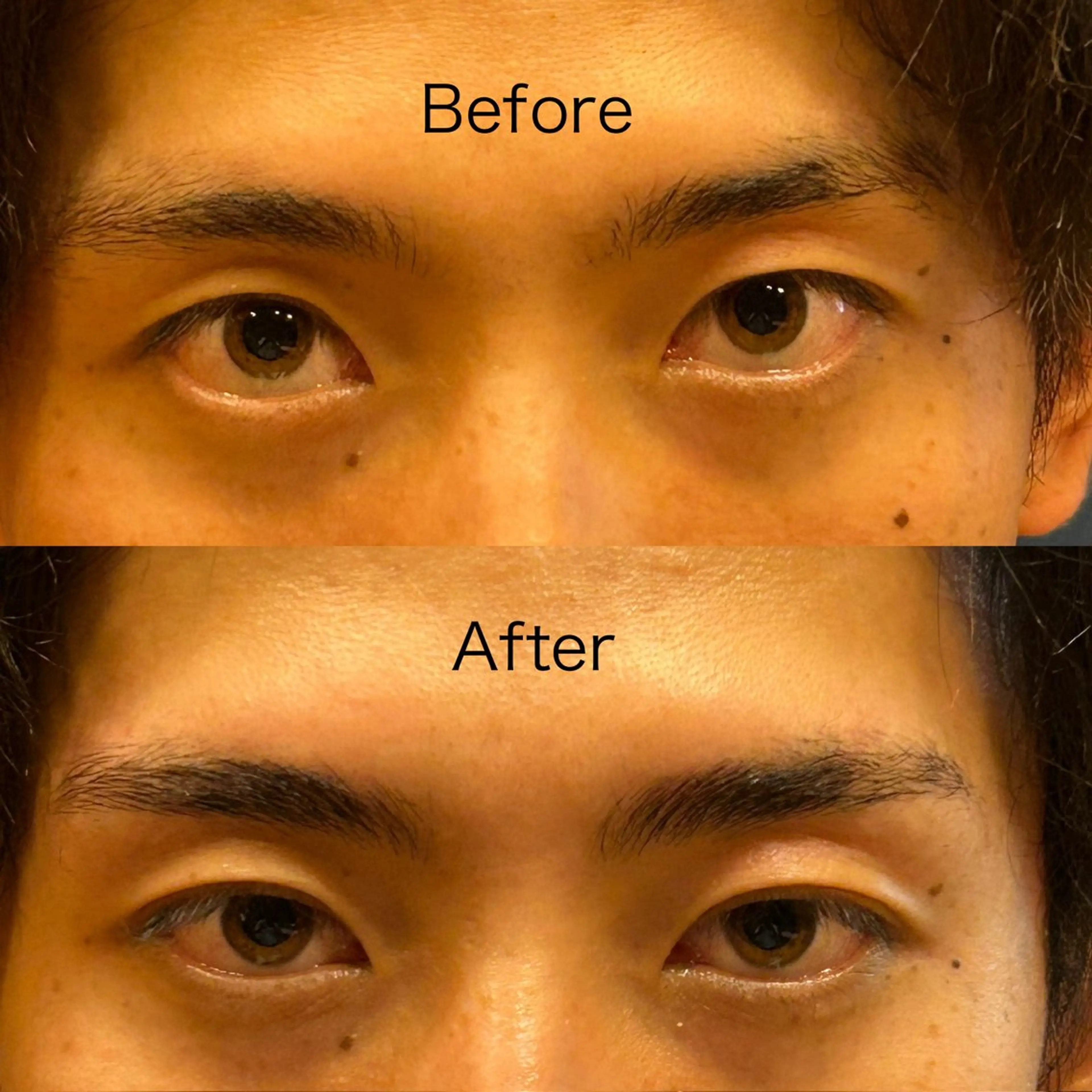 アイブロウ ハリウッドブロウリフト LUZ所属・LUZ ルースの眉毛・アイブロウイメージ