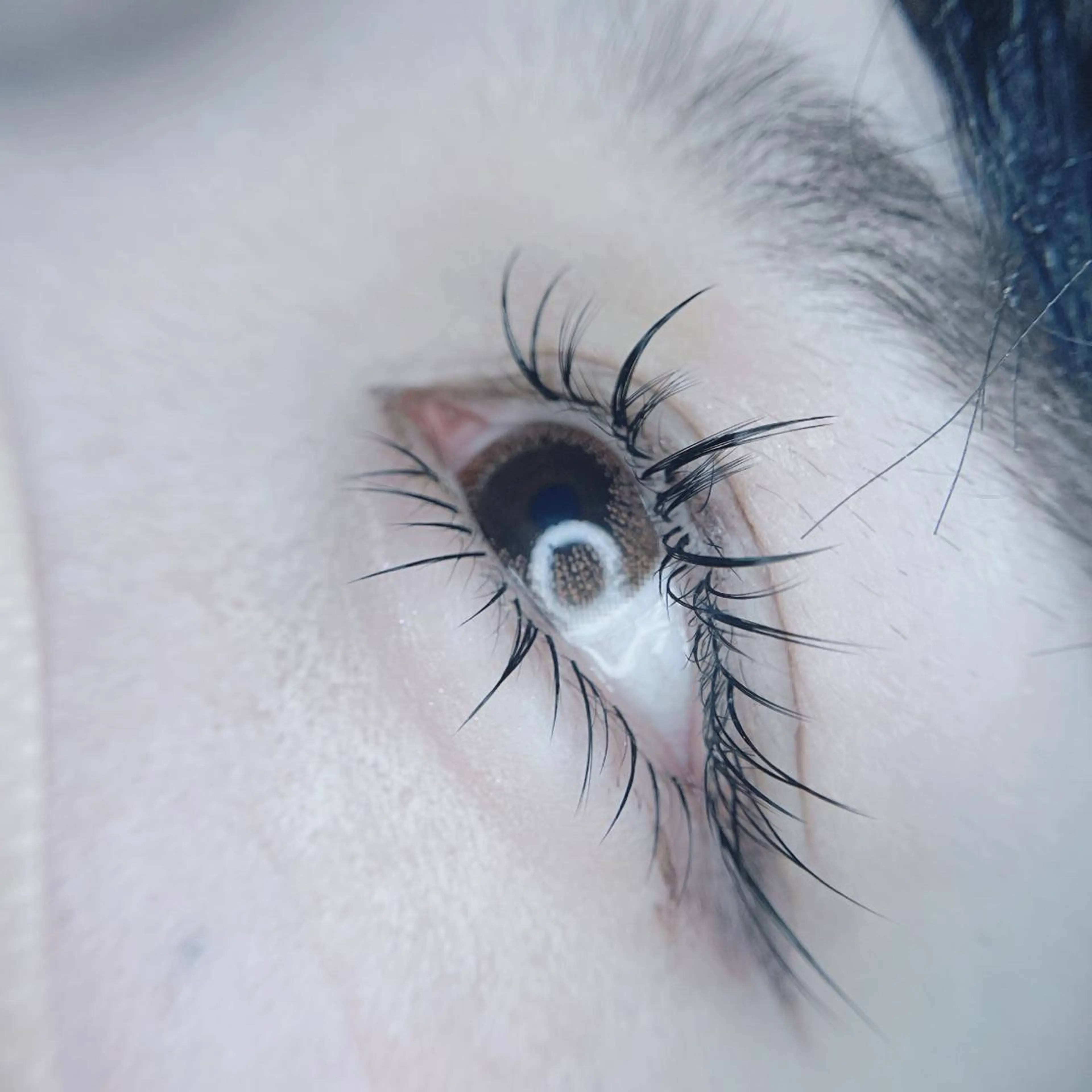 マツエク・マツパ foisalon 大久保店のマツエク・マツパデザイン