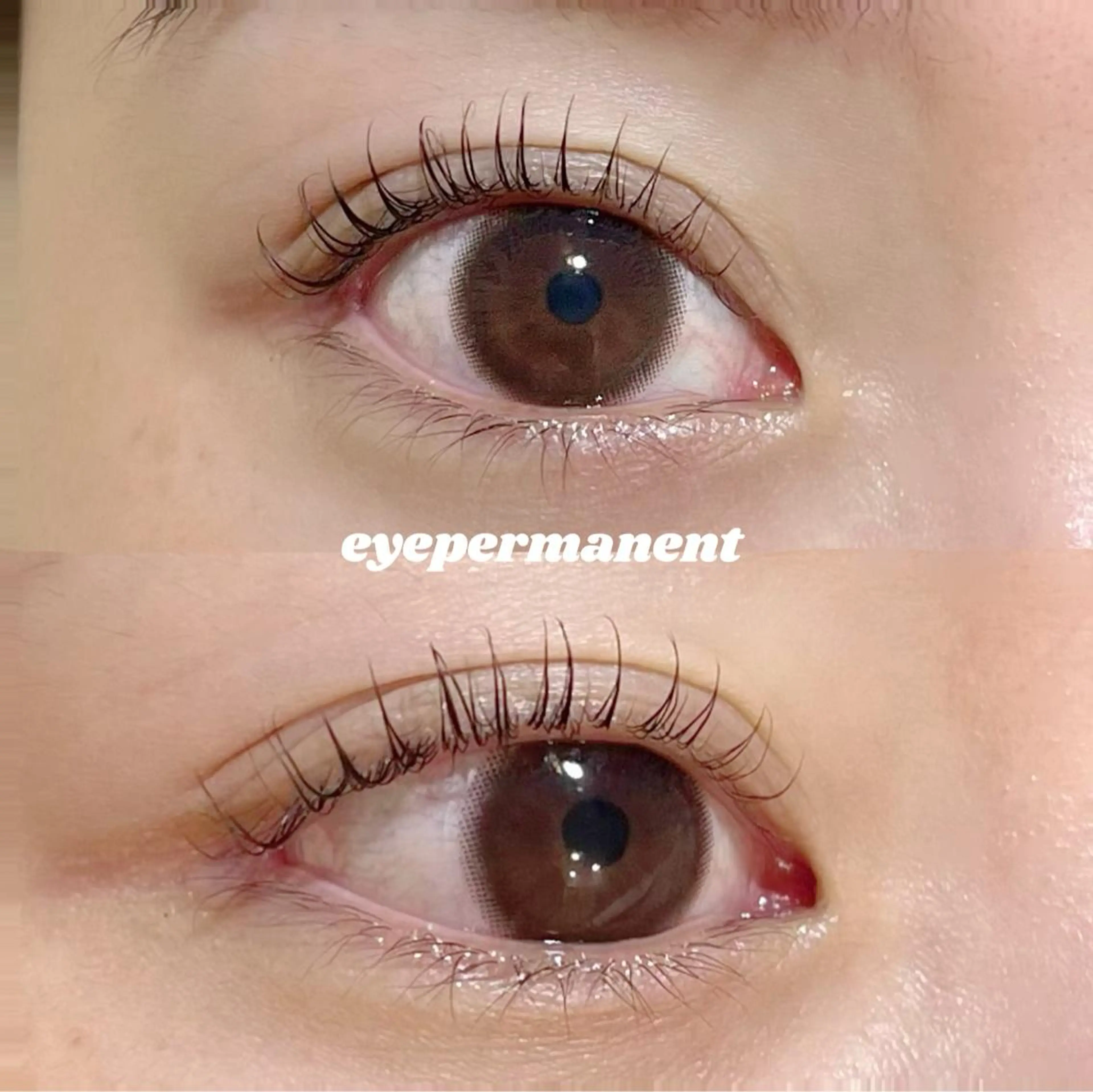 マツエク・マツパ マツパ mona 🎀韓国まつパ/眉毛のマツエク・マツパデザイン