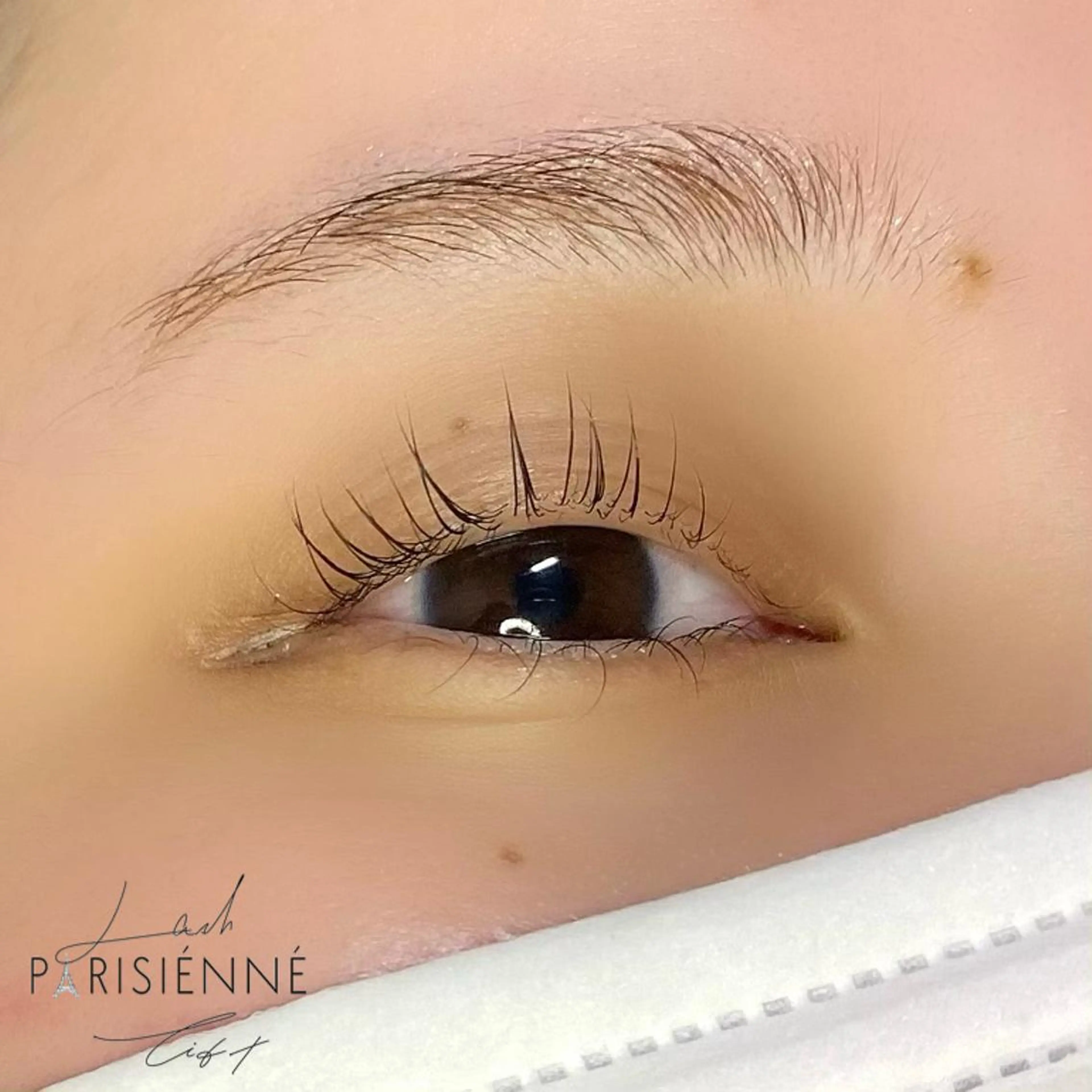 マツエク・マツパ アイブロウ マツパ 🌼eyelist kaede🌼のマツエク・マツパデザイン