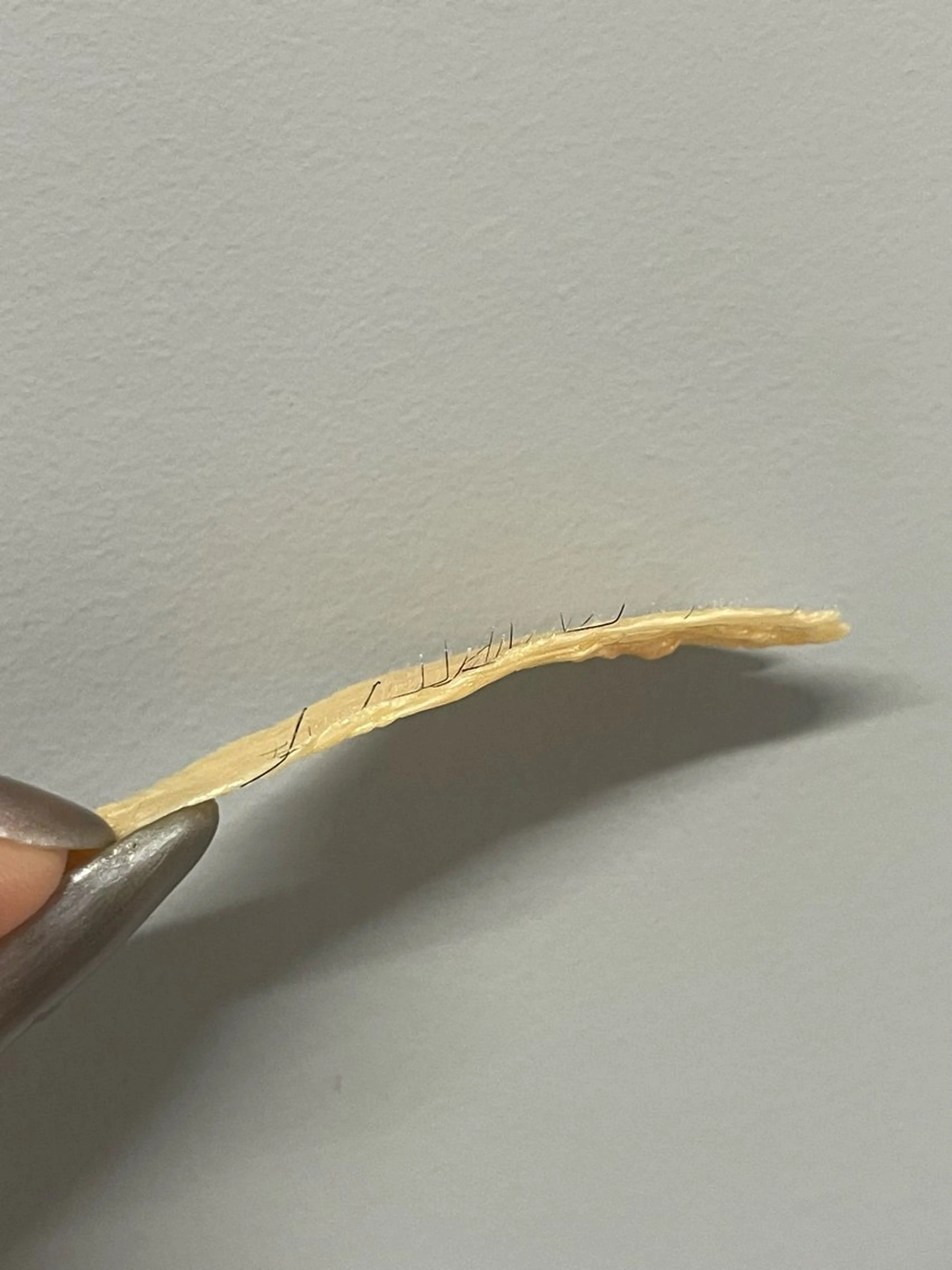 Private_ ARCの眉毛・アイブロウイメージ