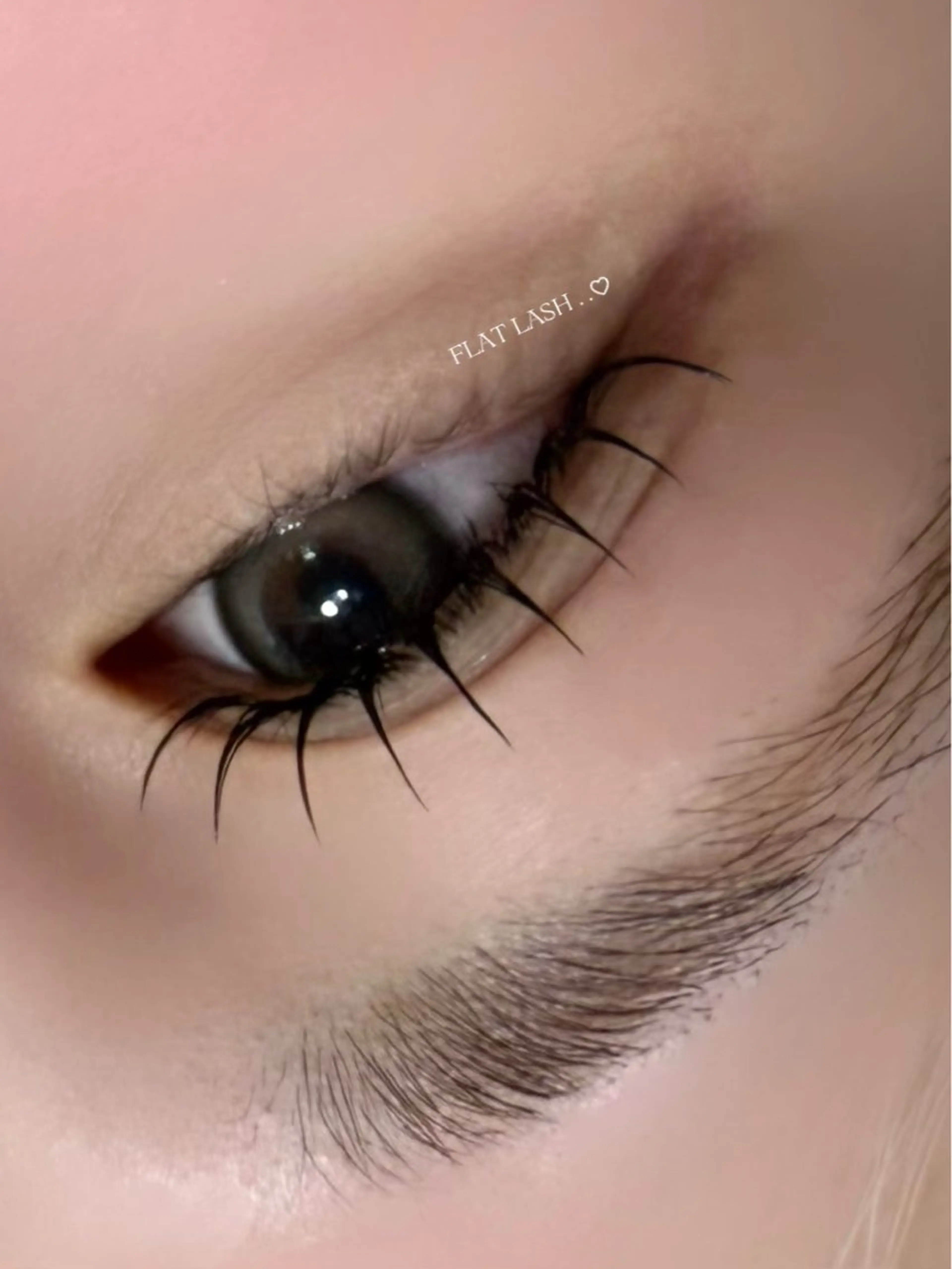 ♡フラットラッシュ〈100本〉オフなし : ￥1500 off✨️の写真