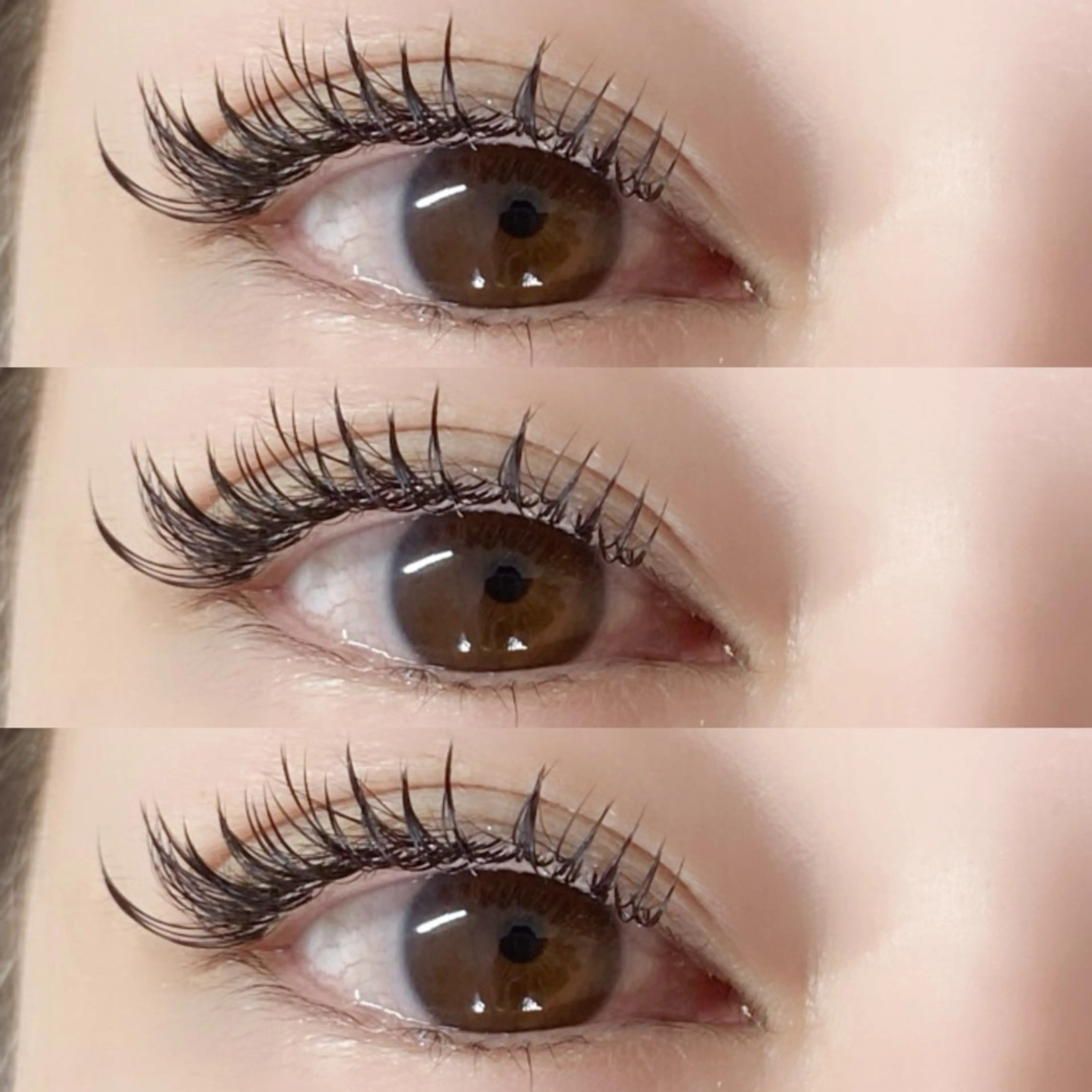 フラットマットラッシュ(上)つけ放題の写真