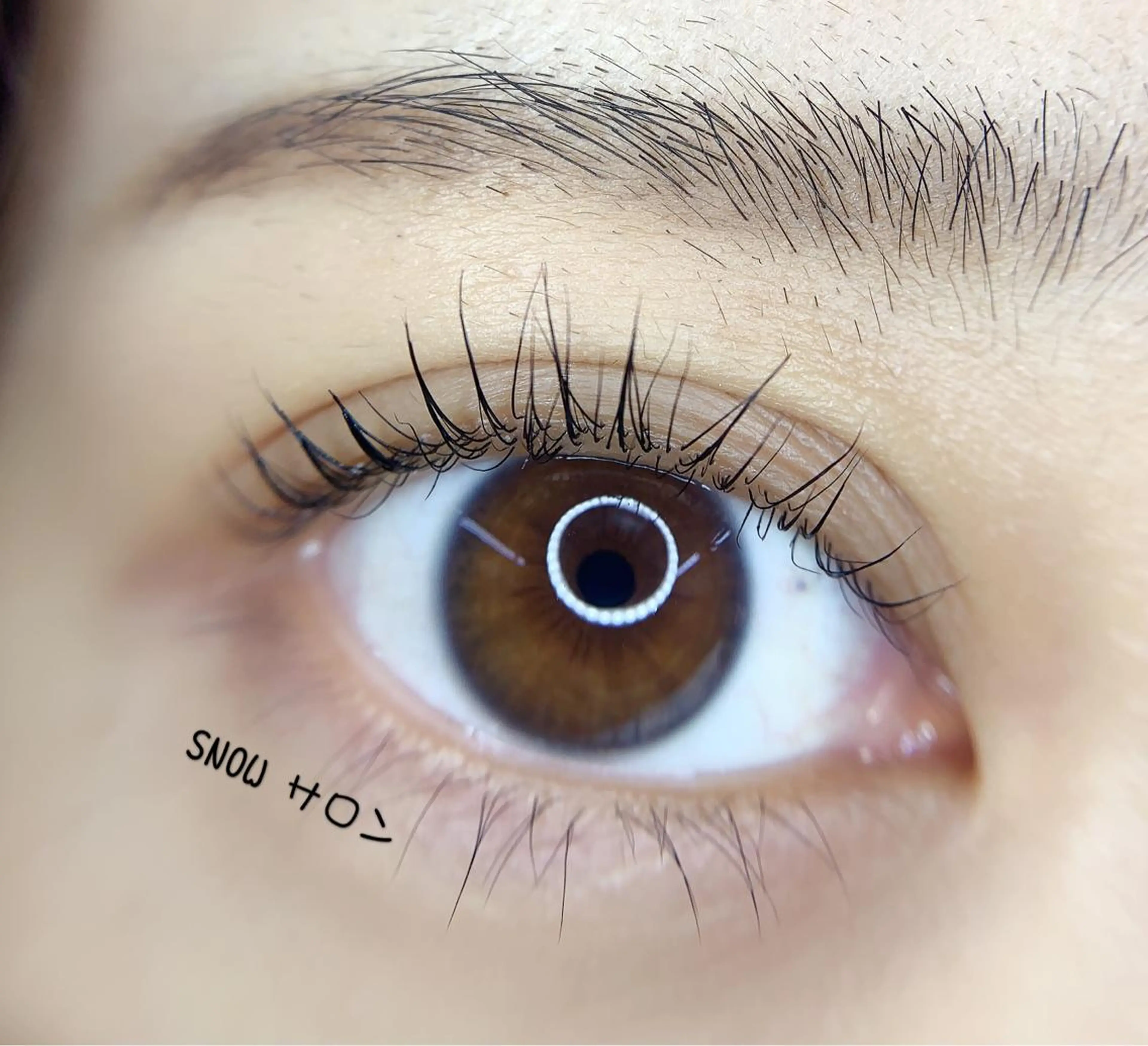 マツエク・マツパ まつげパーマ foisalon 新宿西口店のマツエク・マツパデザイン