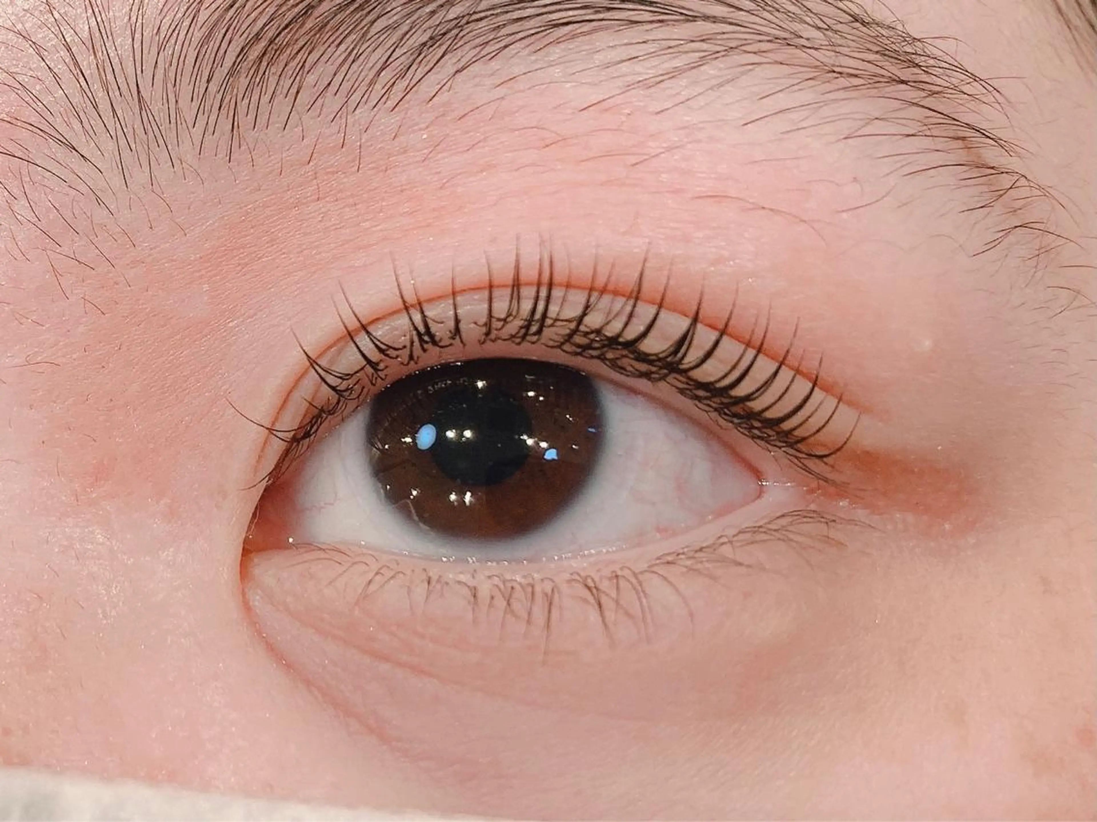 マツエク・マツパ Lil by Fan. 菊池のマツエク・マツパデザイン