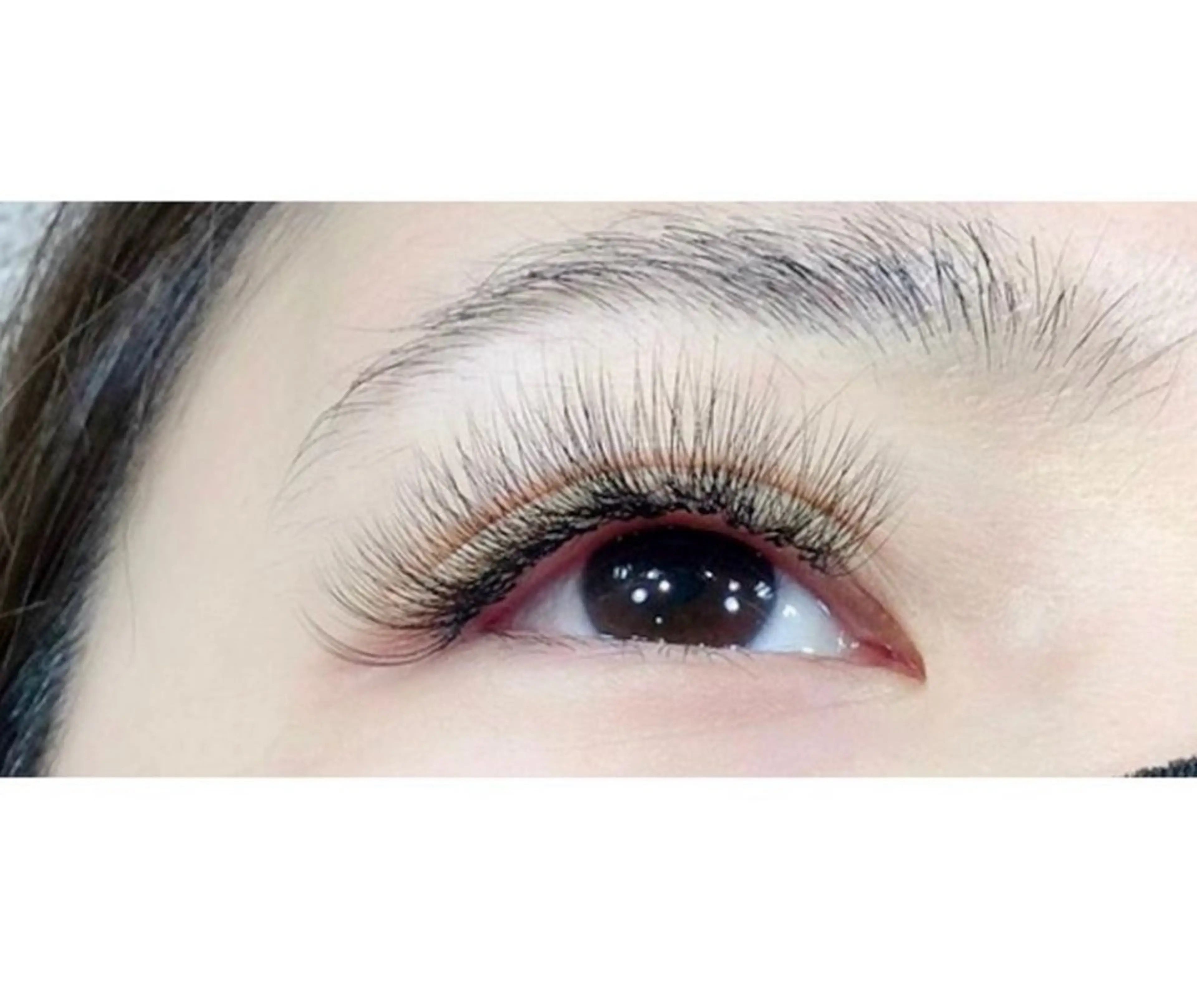 マツエク・マツパ セーブル ✮*｡マリーテレジア ✮*kato.aのマツエク・マツパデザイン