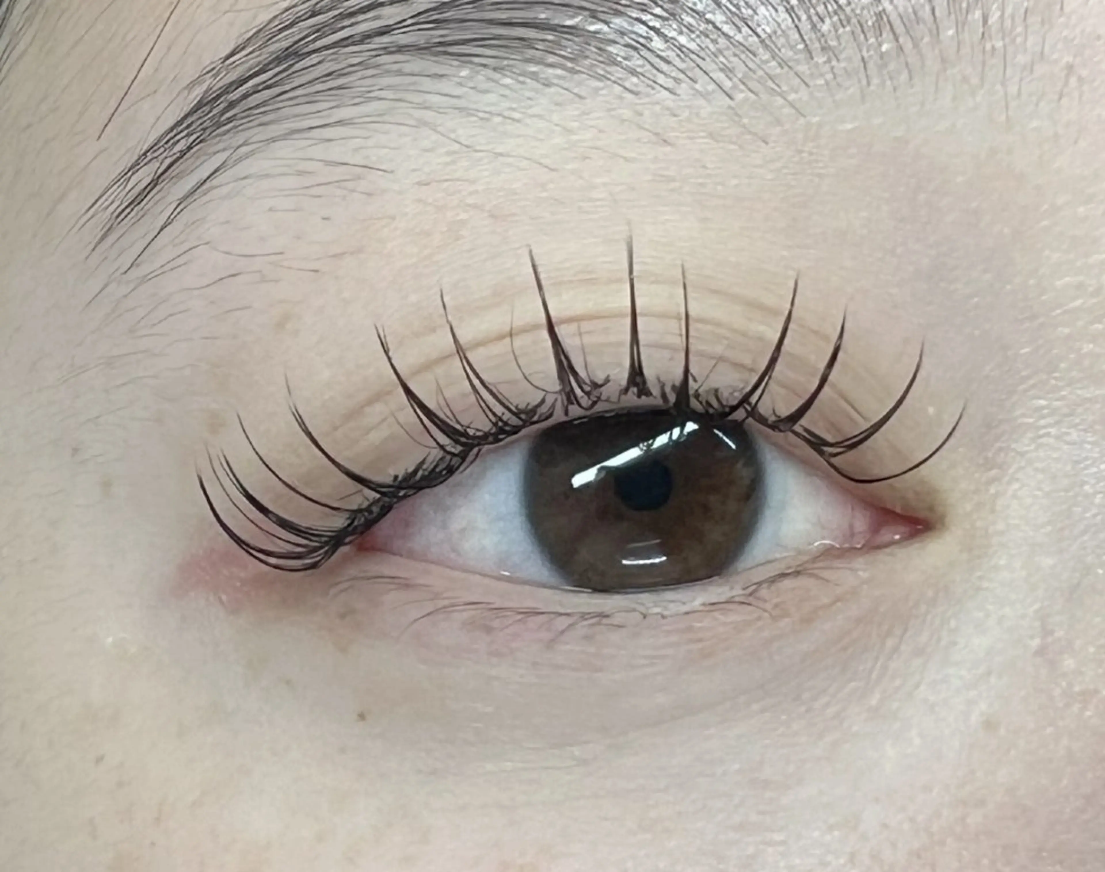 大人気🧚‍♂️ パリエク🧚パリジェンヌ（上まつ毛）+ フラットラッシュ 80本+キープ美容液の写真