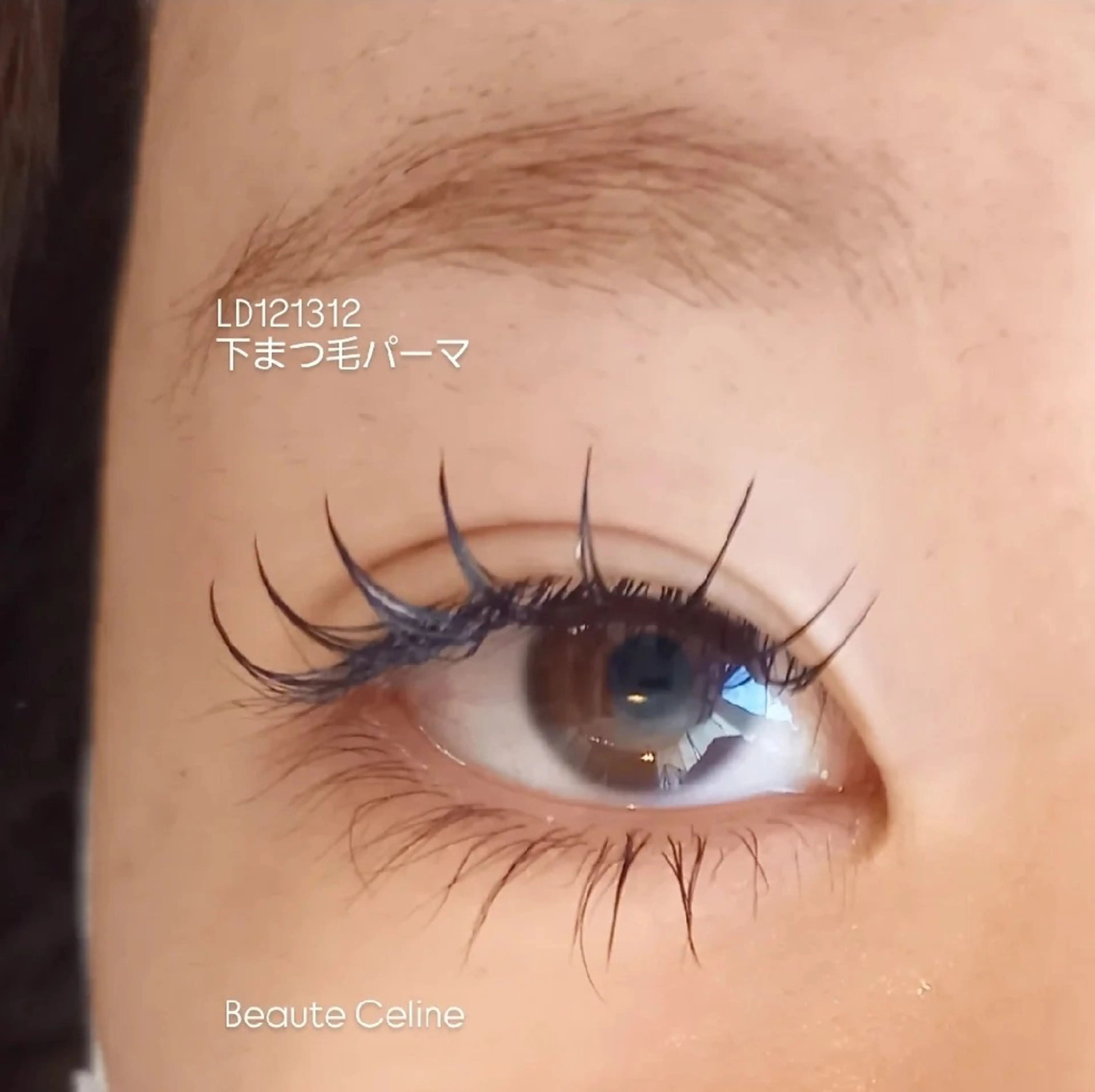 マツエク・マツパ Dカール 下まつげエクステ 一重×まつ毛パーマ マツパ beaute.celine所属・8時～✨beaute Celine🌛🌹のマツエク・マツパデザイン