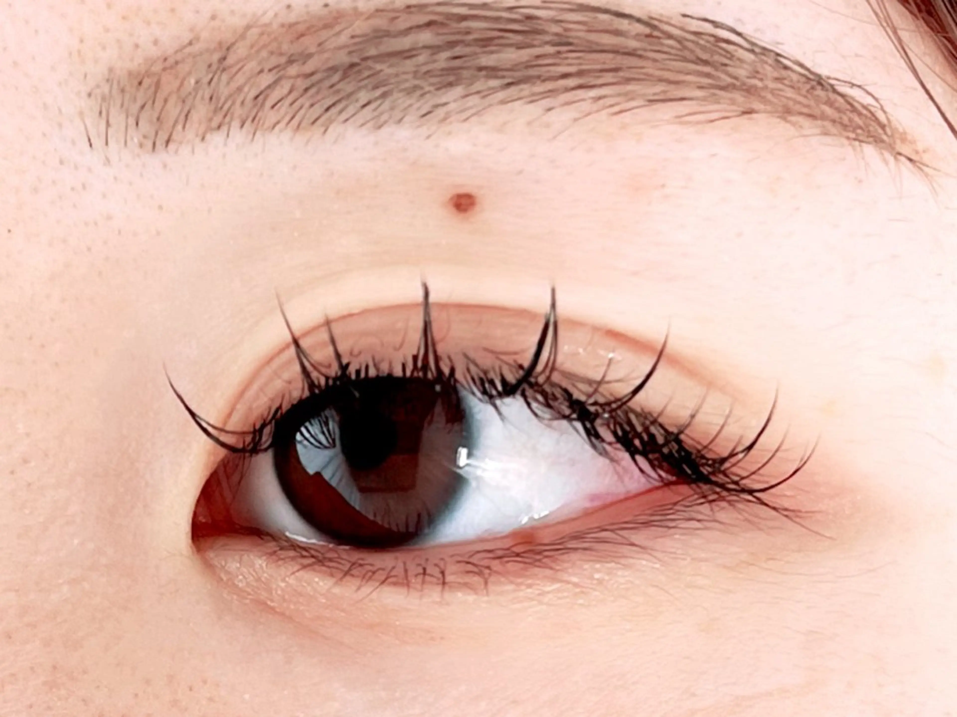 マツエク・マツパ フラットラッシュ ナチュラル 🪼ひとみ🪼半個室 Amour菊川店のマツエク・マツパデザイン