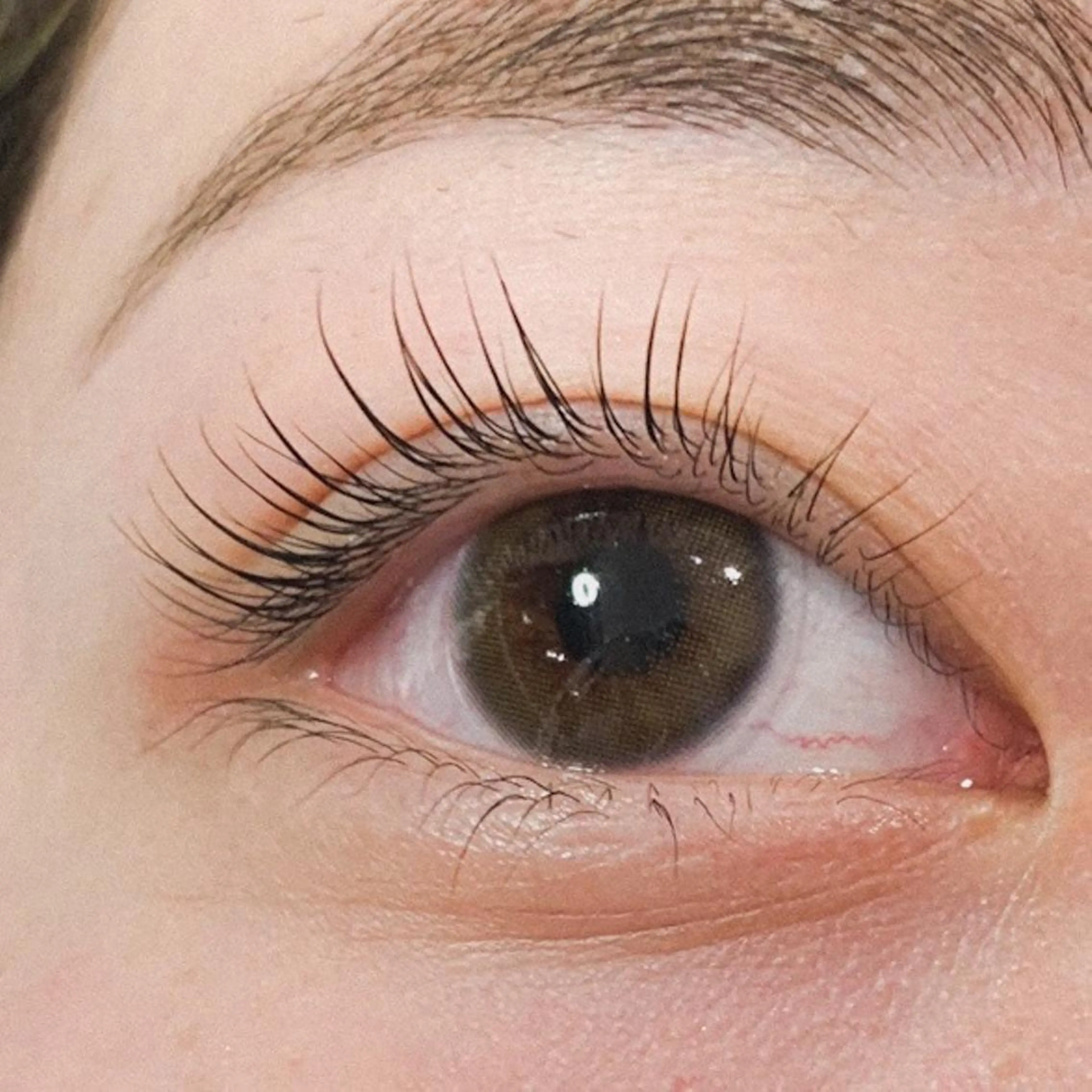 🌟次世代まつ毛パーマ🌟根元から立ち上げデザイン。キューティクルケア＋たっぷりケラチン美容液で仕上げますの写真