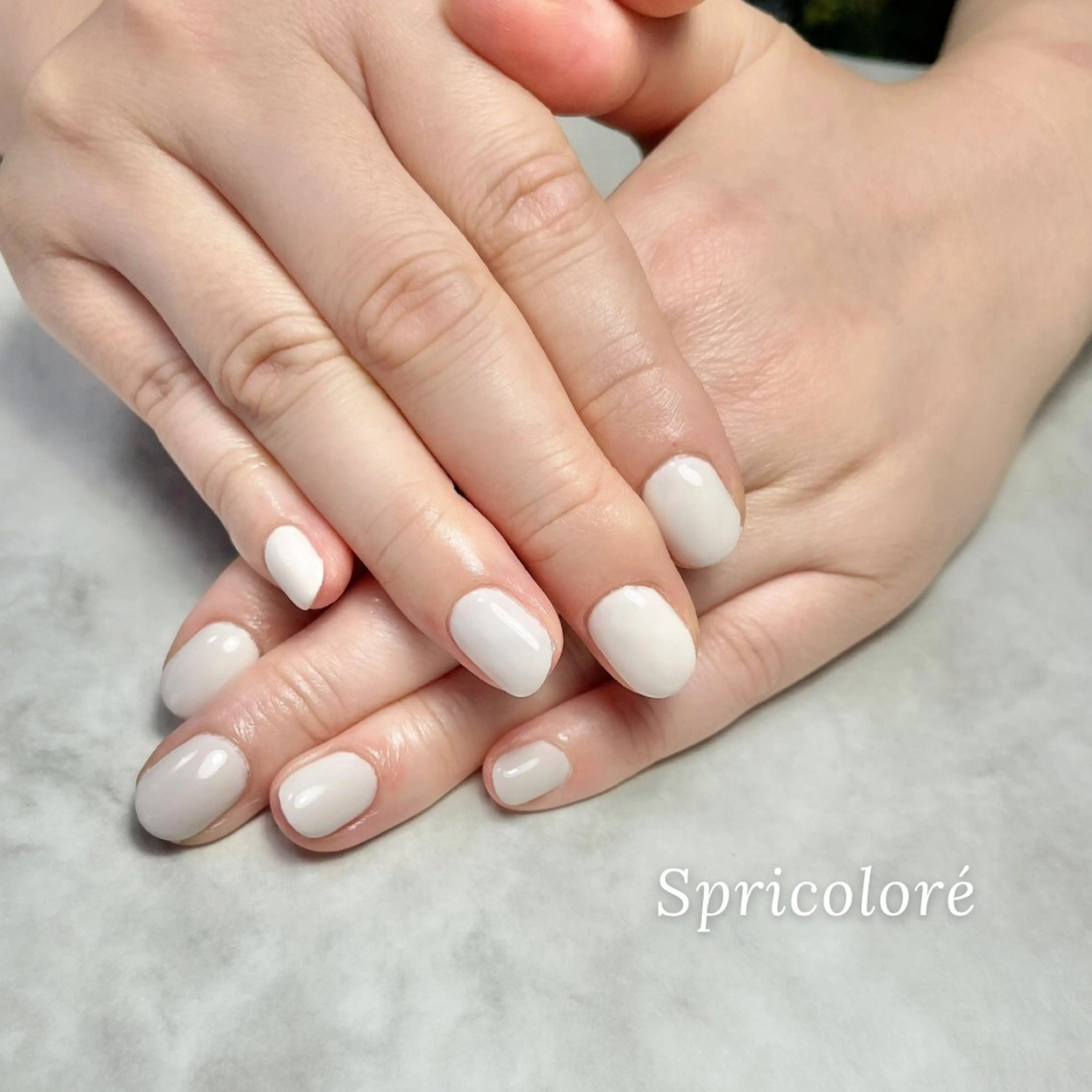 ネイル ワンカラーネイル Spricoloré ／harunaのネイルデザイン