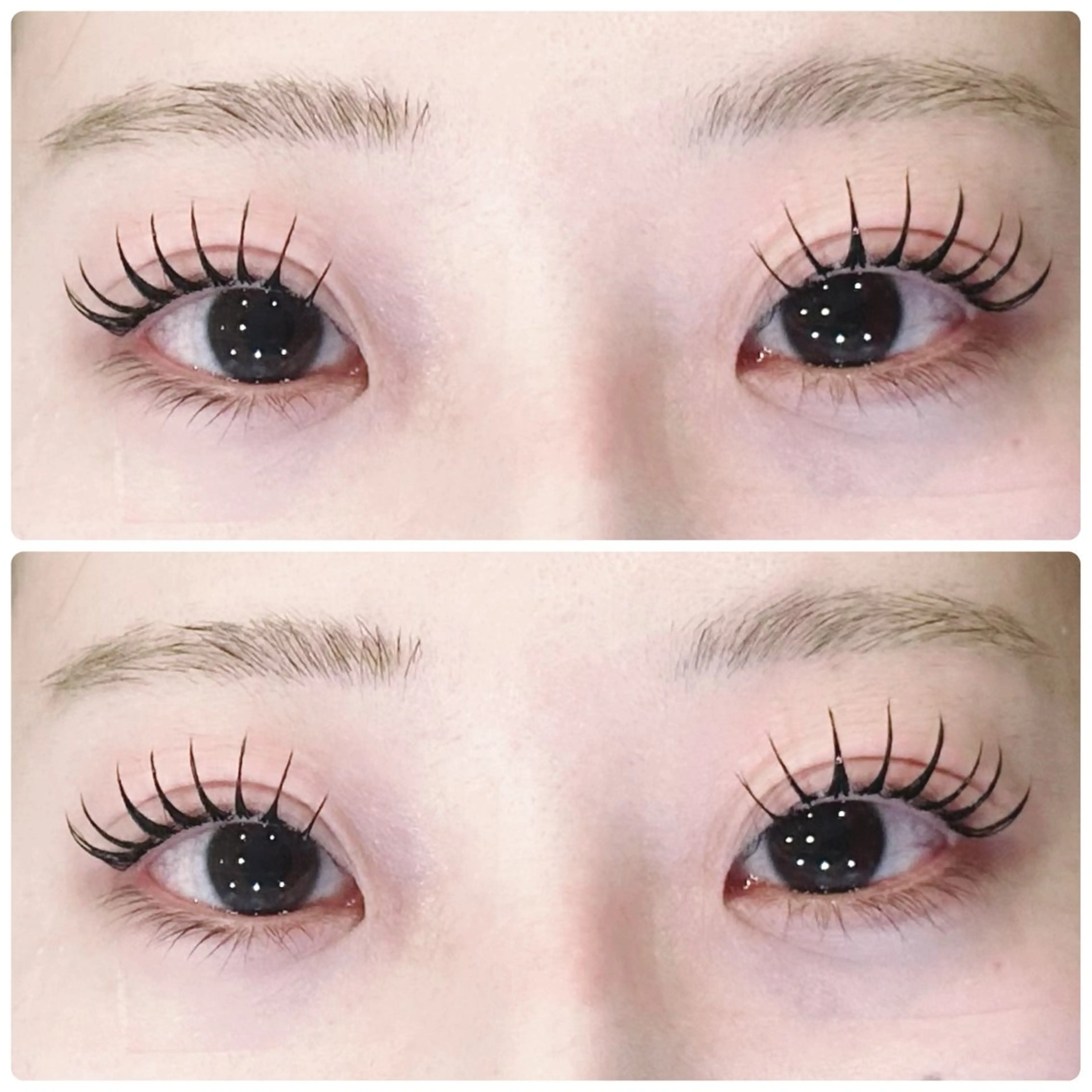 ❕練習モデル❕🕶新パリエク80本🕶⸒（現金のみ‼️）オフ別途‼️550円の写真