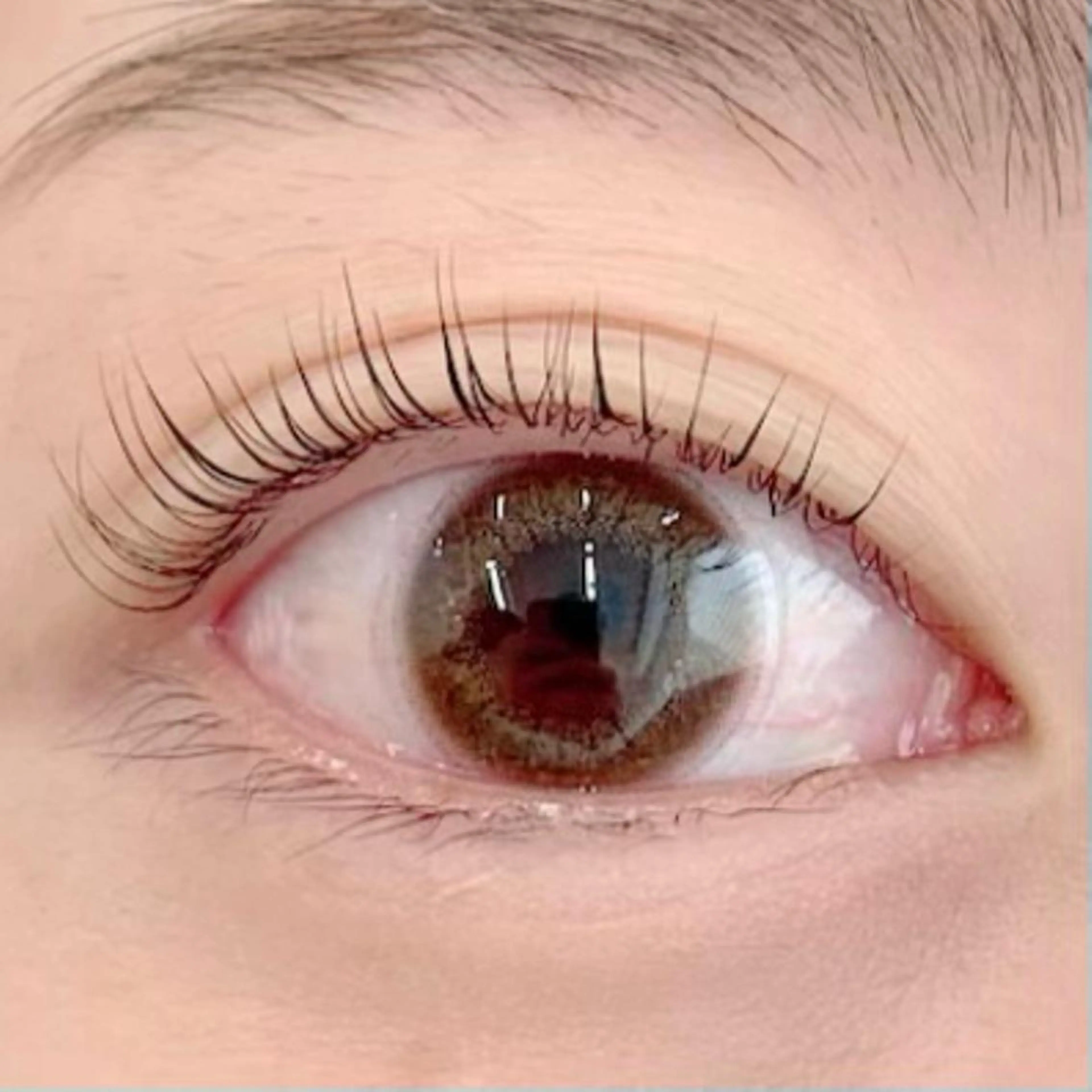 マツエク・マツパ パリジェンヌラッシュリフト BellFlower Aki（眉・まつげ）のマツエク・マツパデザイン