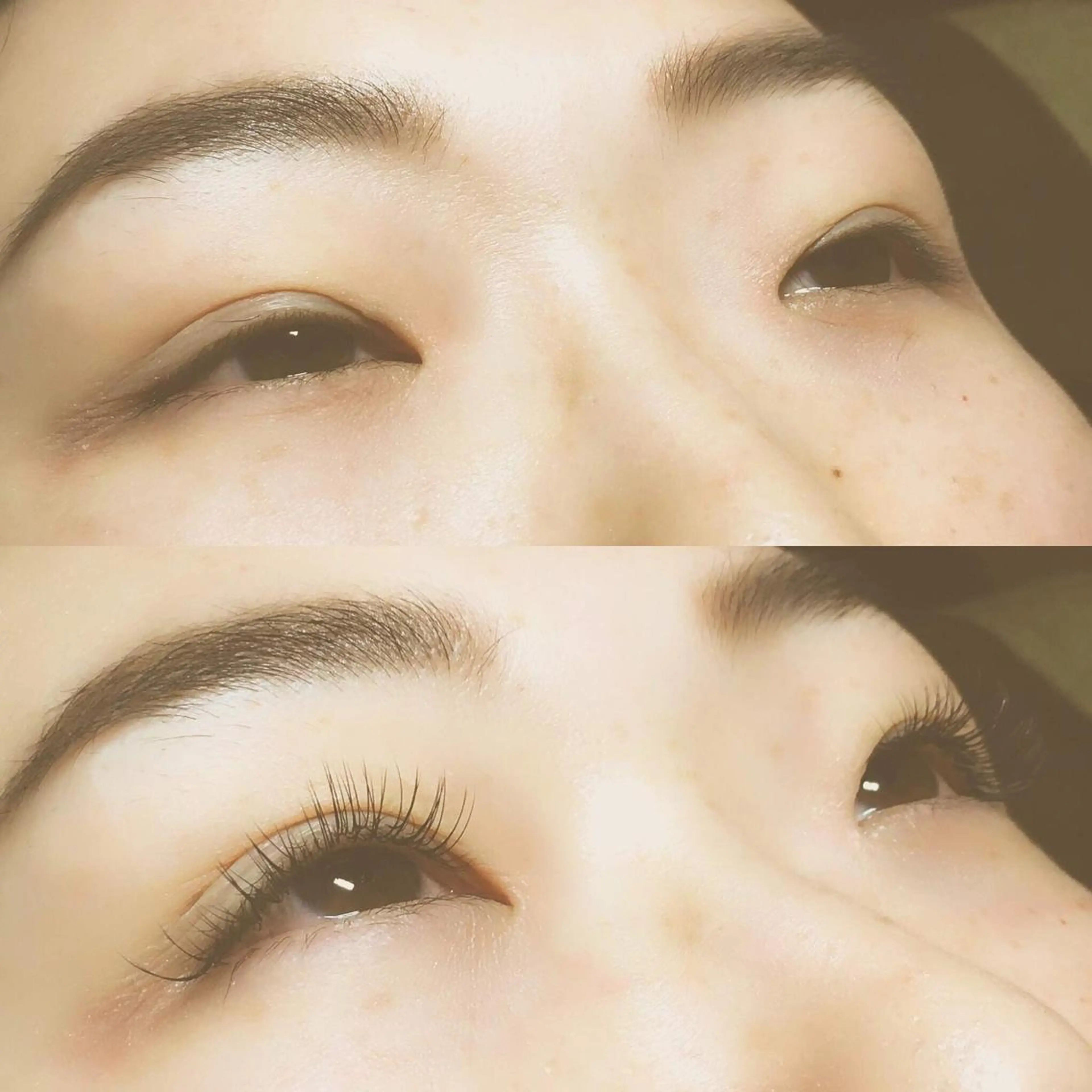マツエク・マツパ hi.所属・hi. eyelashのマツエク・マツパデザイン