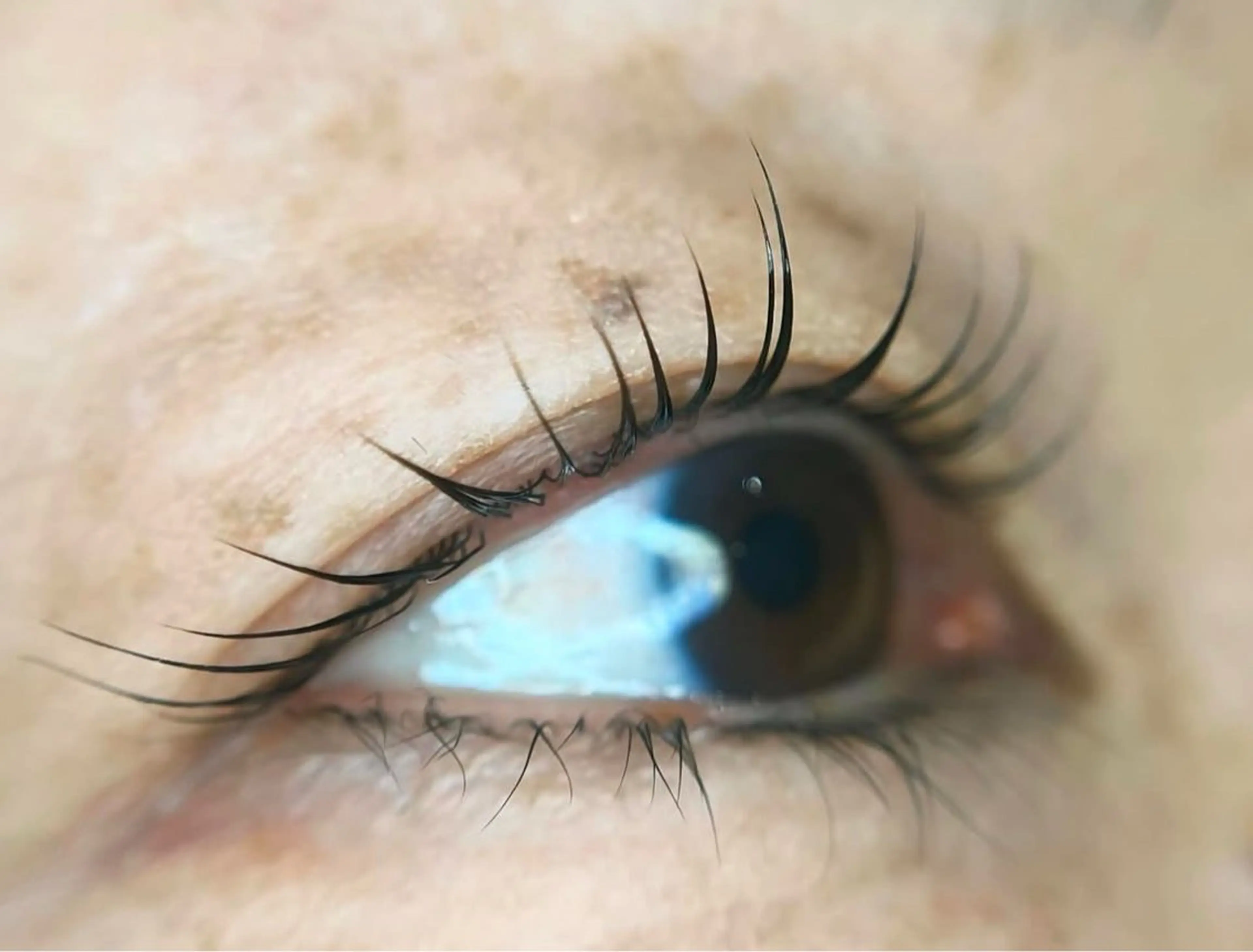 マツエク・マツパ 一重×まつ毛パーマ 岩見 桐子のマツエク・マツパデザイン