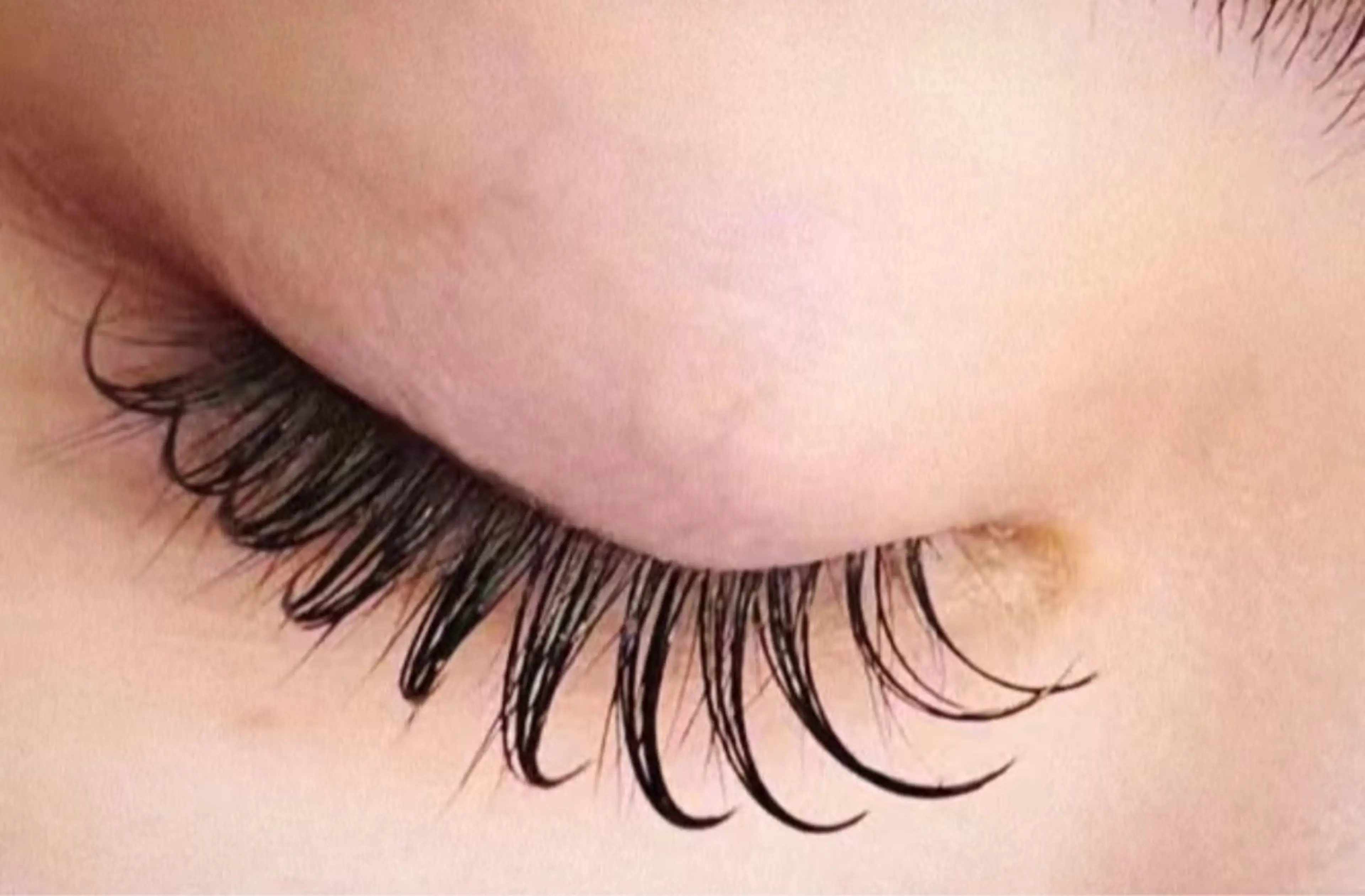 【LED✨ 最高級セーブル シングルラッシュ】付け放題の写真