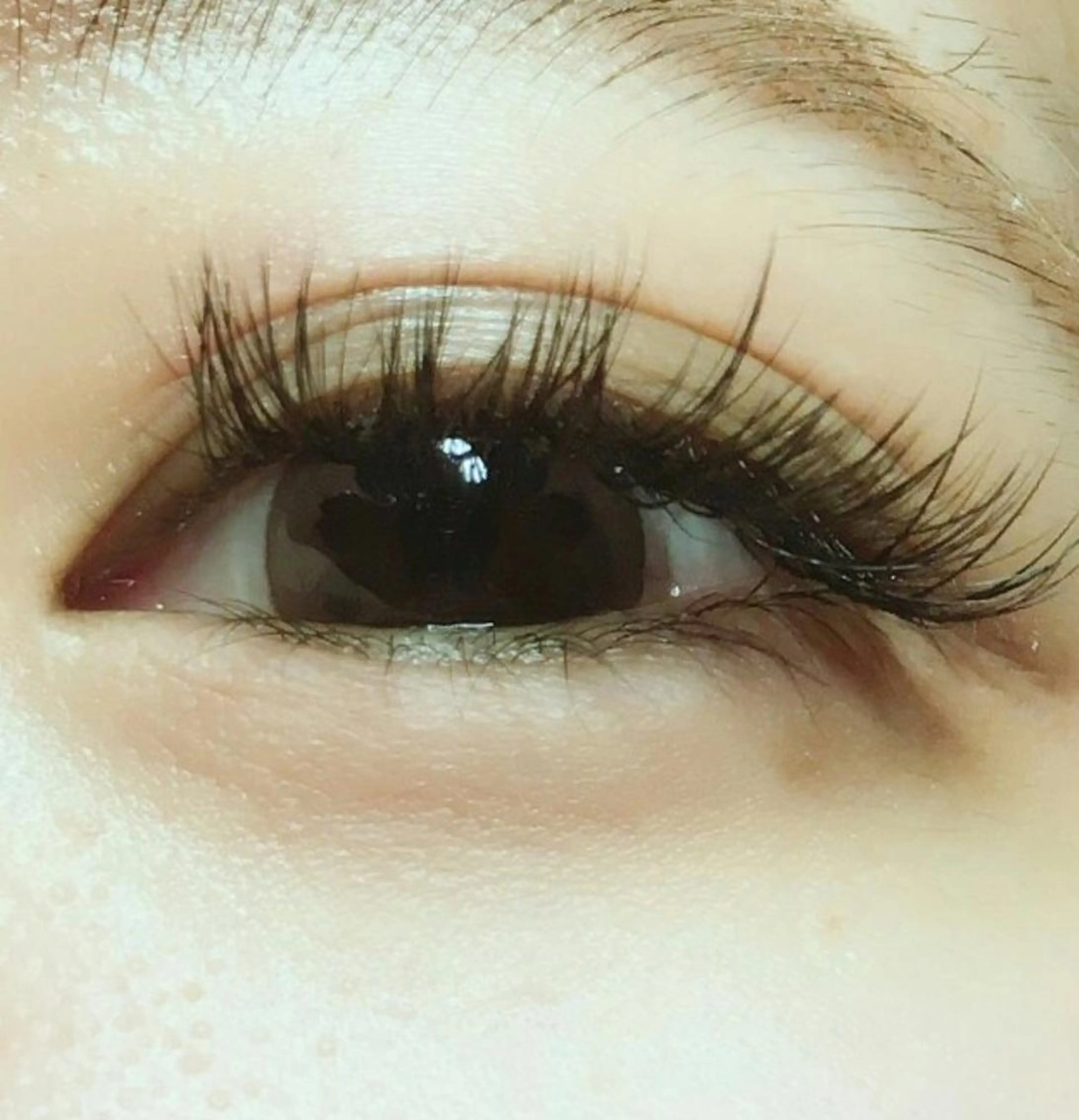 マツエク・マツパ Cカール ボリュームラッシュ ookuma 横浜店のマツエク・マツパデザイン