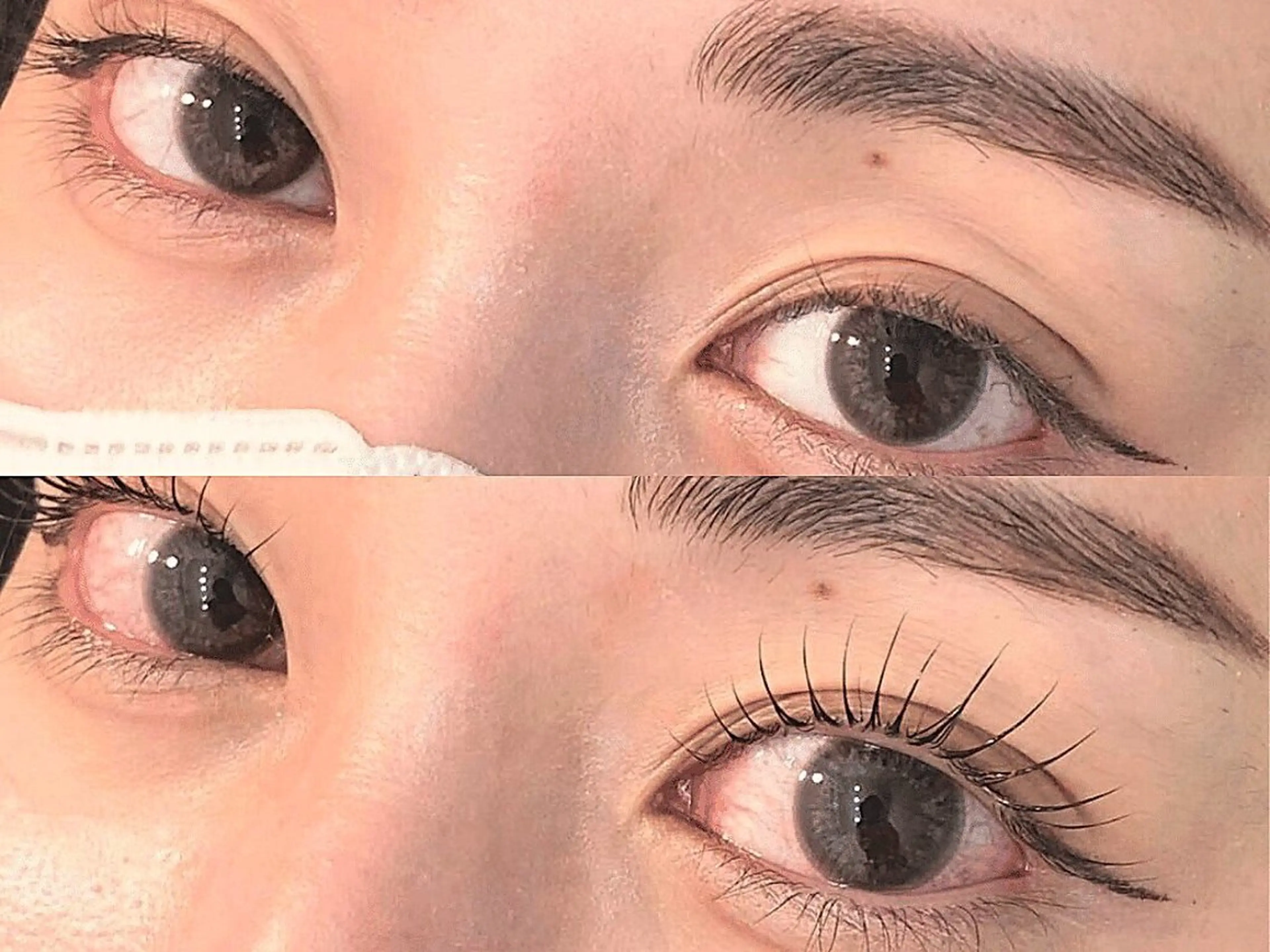 【6月限定★まつぱのモチup!!】まつげパーマ＋無料アイシャンプーの写真