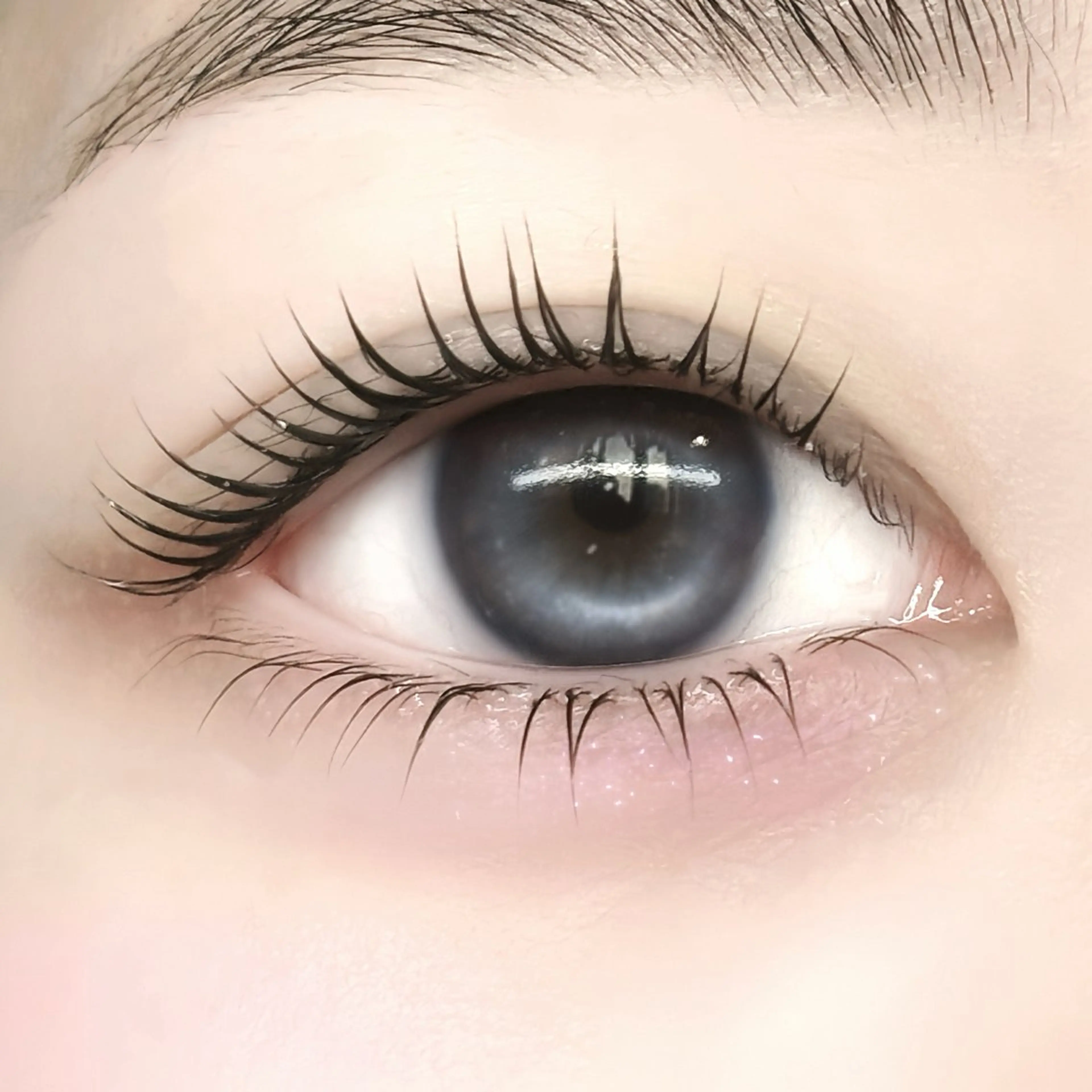 マツエク・マツパ まつげパーマ 下まつげエクステ マツパ FaB 千葉店所属・🩶LEDエクステ& 上下パーマRAN🪽のマツエク・マツパデザイン