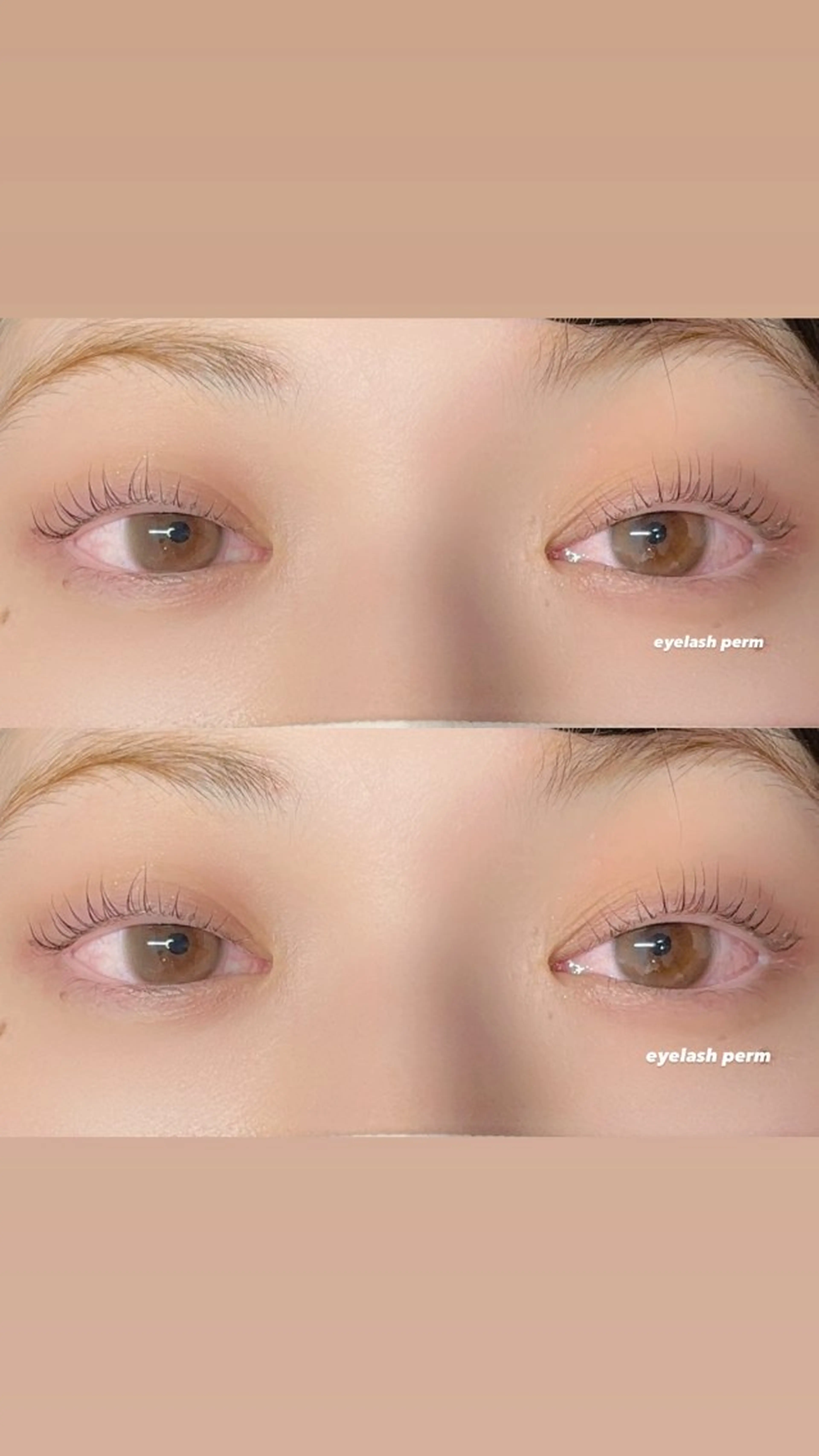 マツエク・マツパ Ayumi.dre 🐹H〈2階〉のマツエク・マツパデザイン