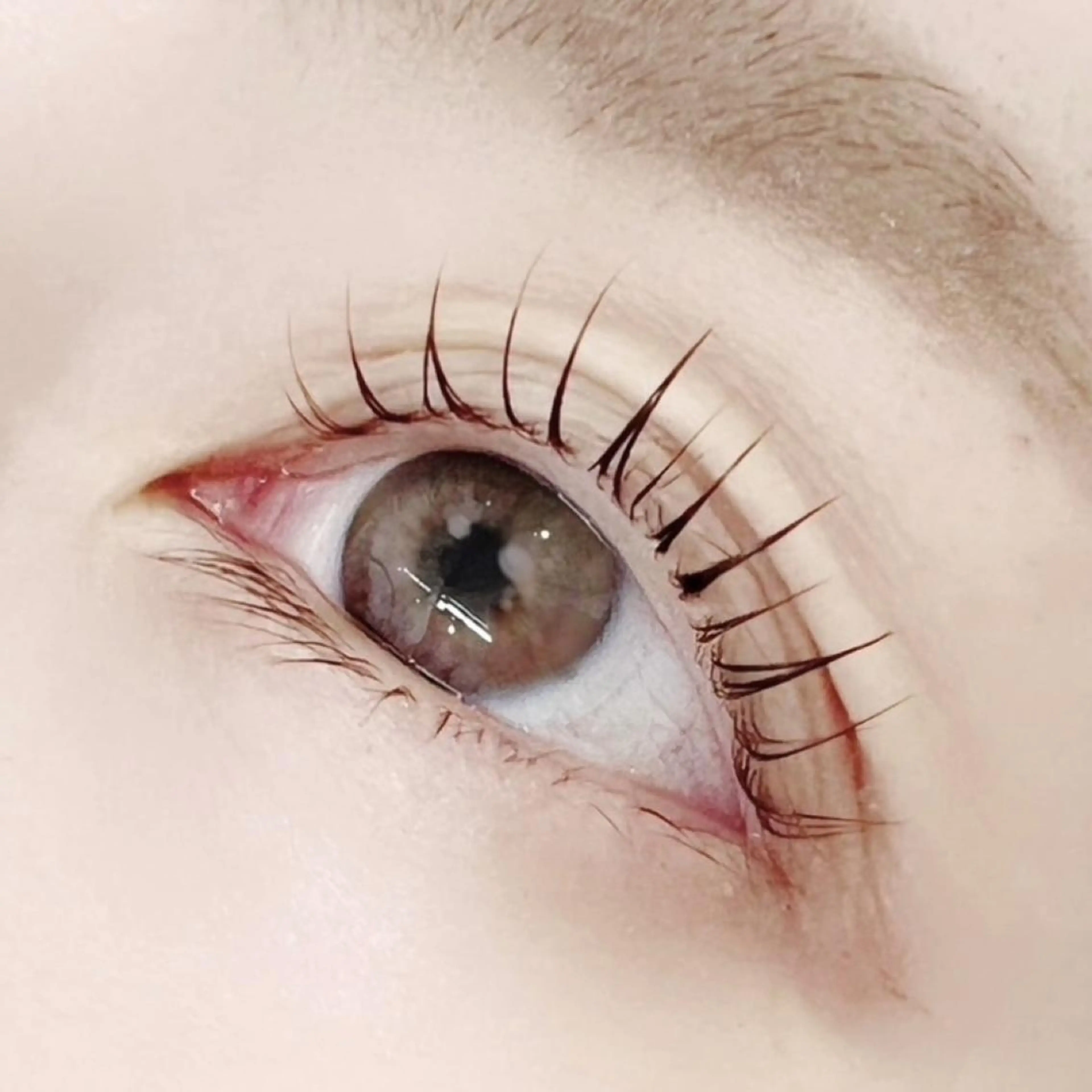 マツエク・マツパ Lumity川越店 那須のマツエク・マツパデザイン