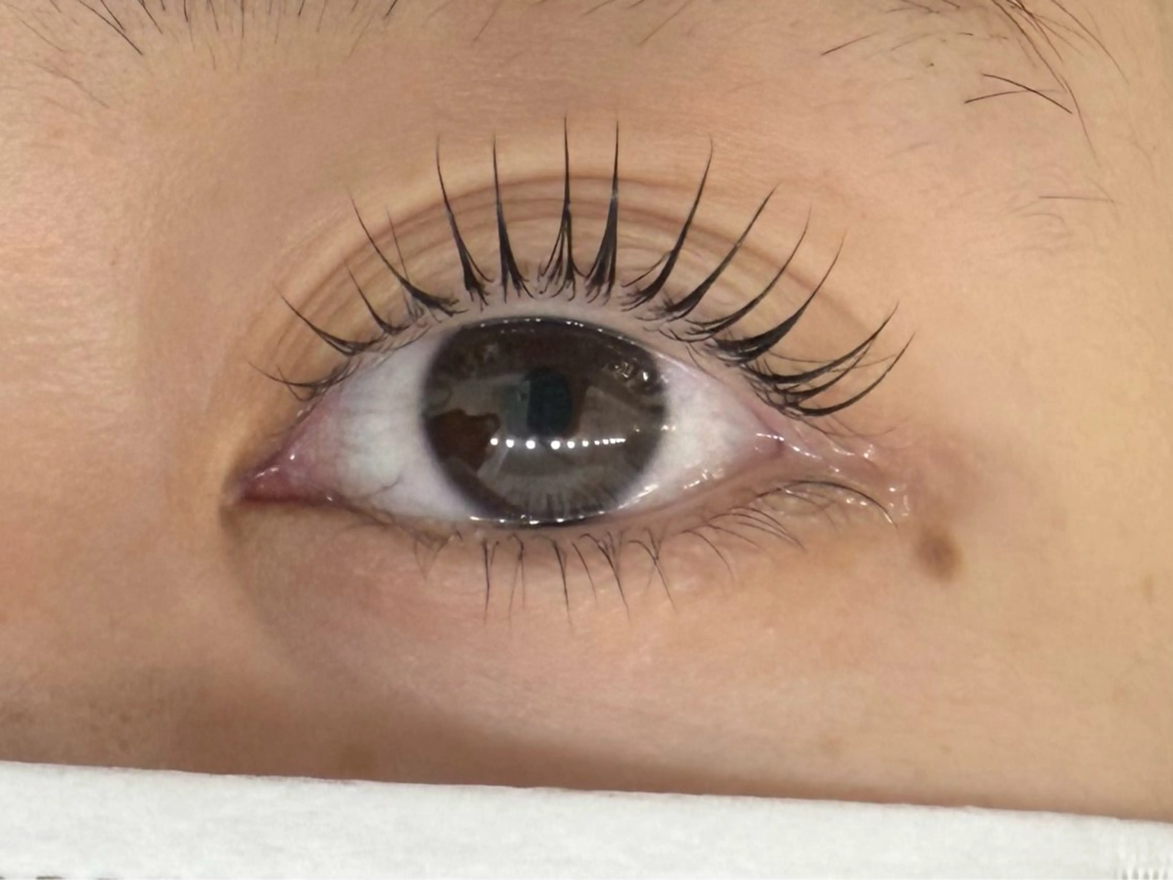 まつ毛パーマ⚠️施術時間60分～90分の写真