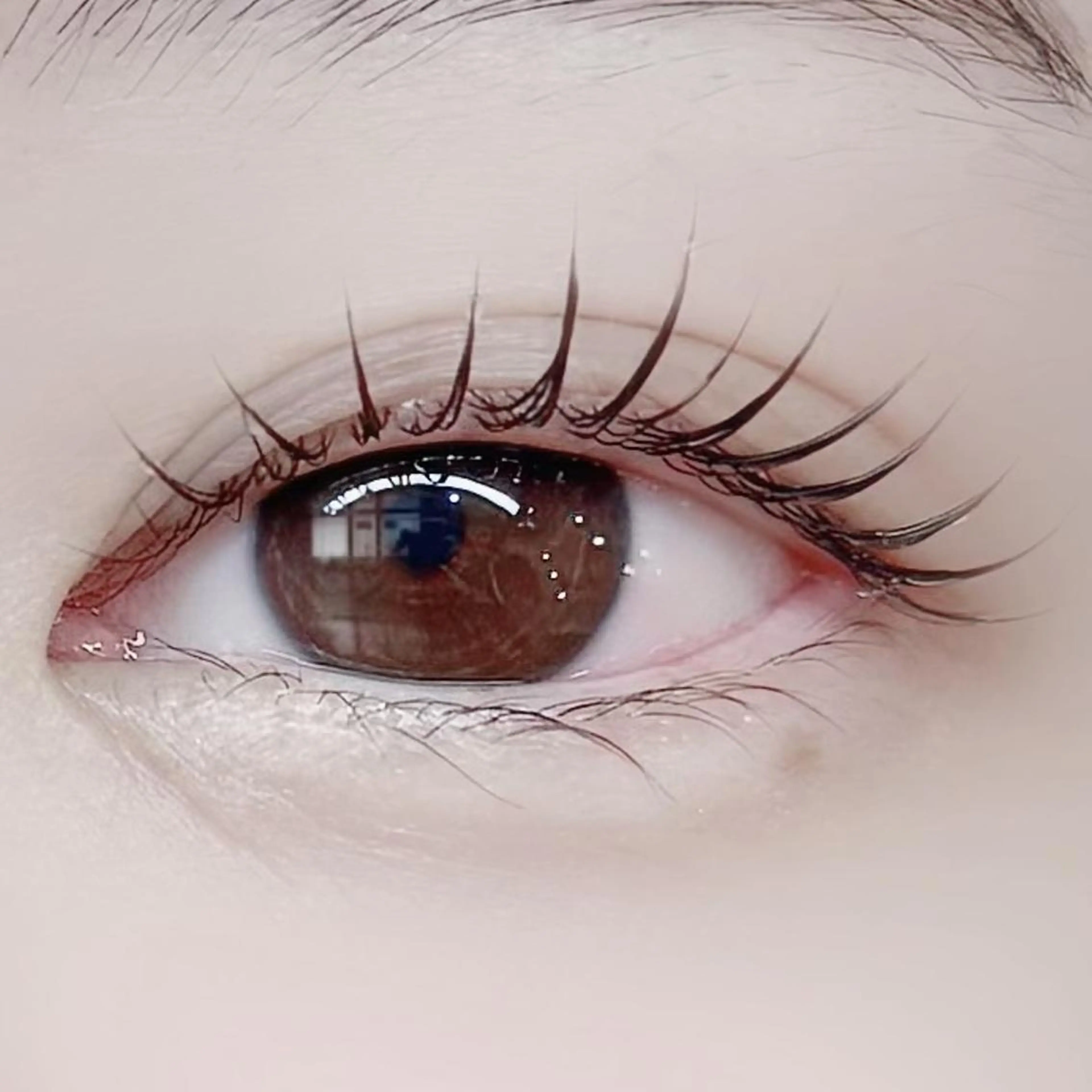 マツエク・マツパ 束感まつ毛 フラットラッシュ 韓国風マツエク ナチュラル まつげパーマ マツパ 🌻まつ毛&眉毛 yukimi⛄️🖤の眉毛・アイブロウイメージ