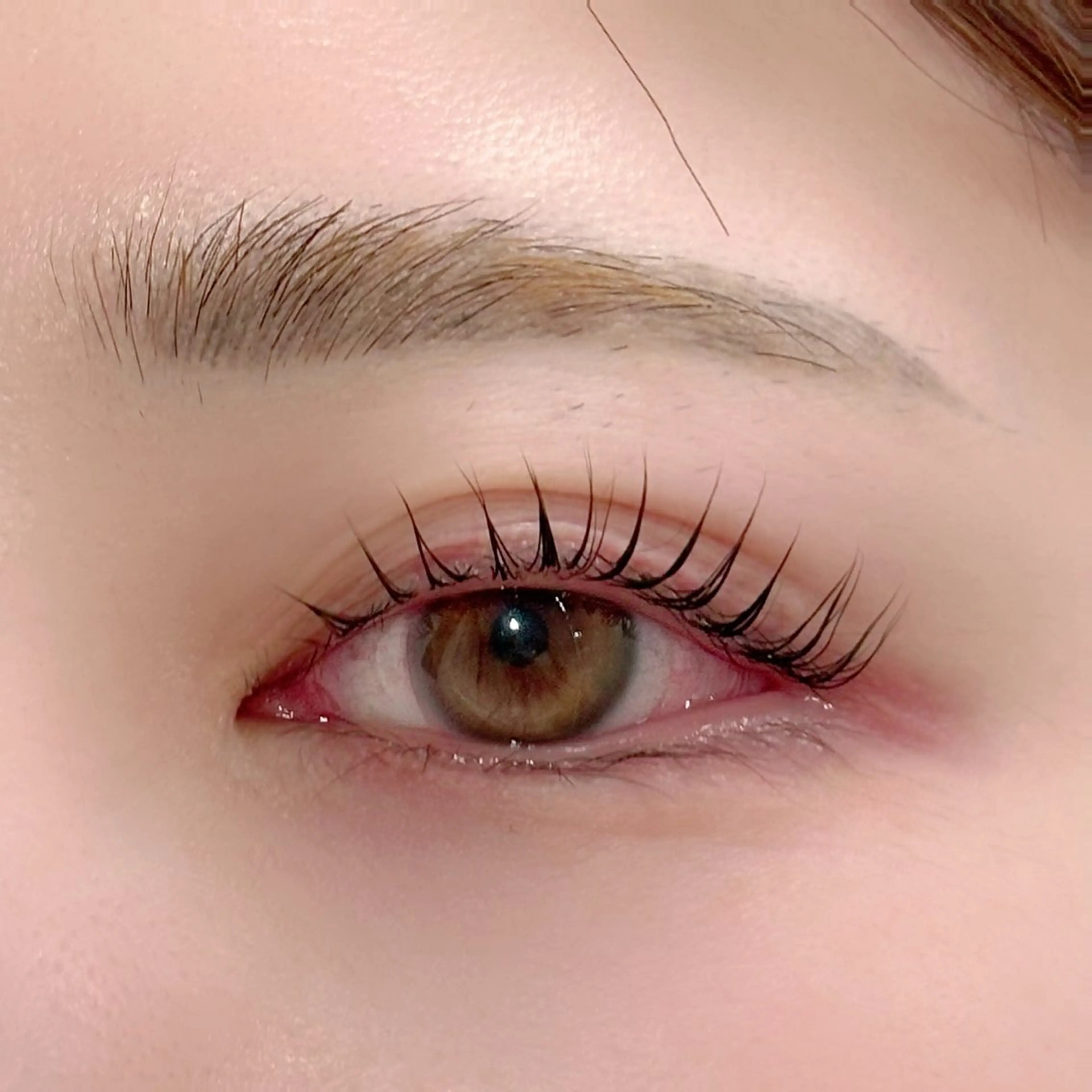 🌼ミニモ限定🌼まつげパーマ✨️LカールorCカールの写真