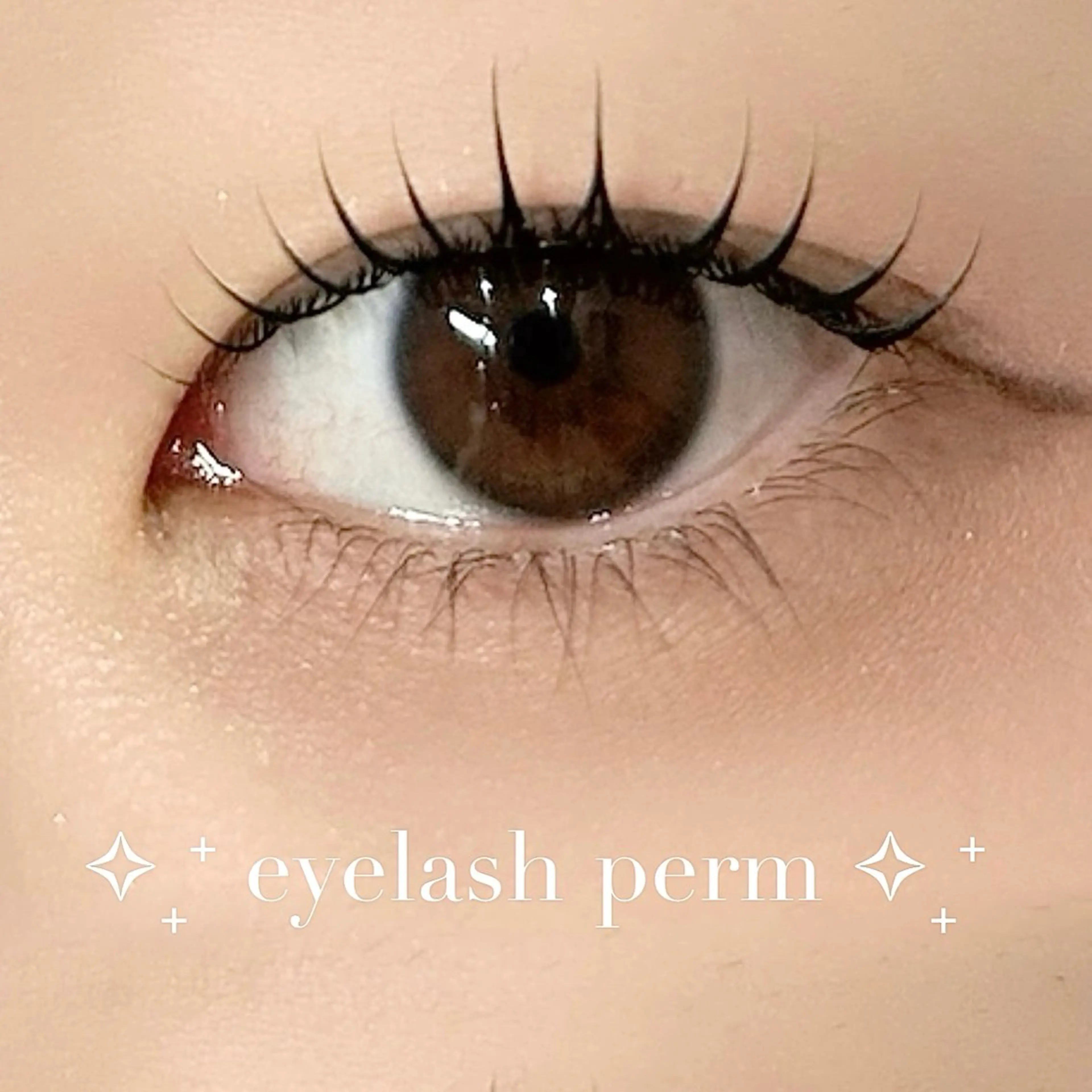 🤍まつ毛パーマ🤍 【 ¥4980 → ¥3500 】(Google口コミ投稿いただける方限定)の写真