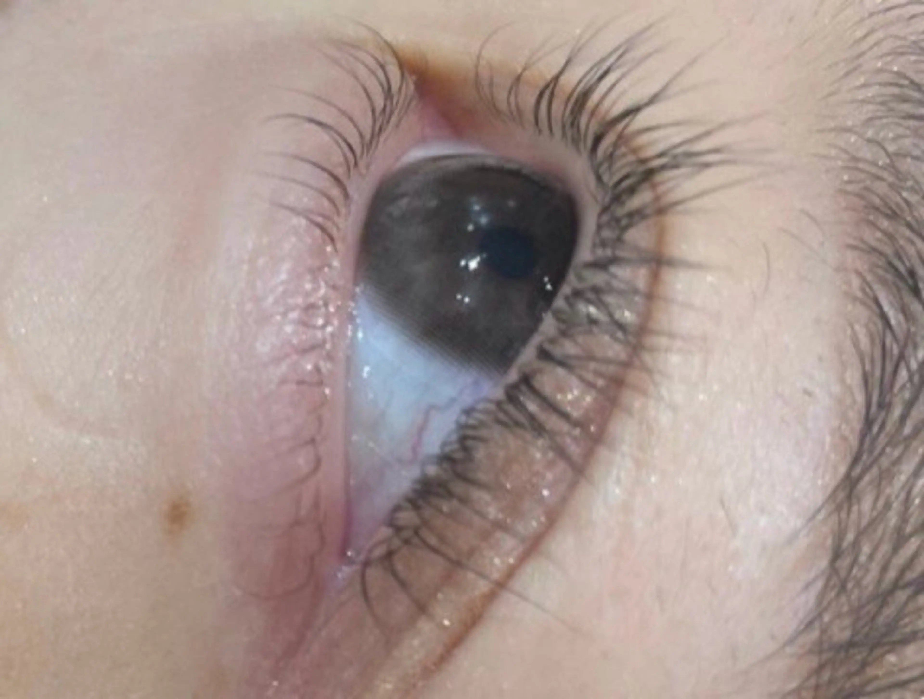 マツエク・マツパ 洒落 サロンのマツエク・マツパデザイン