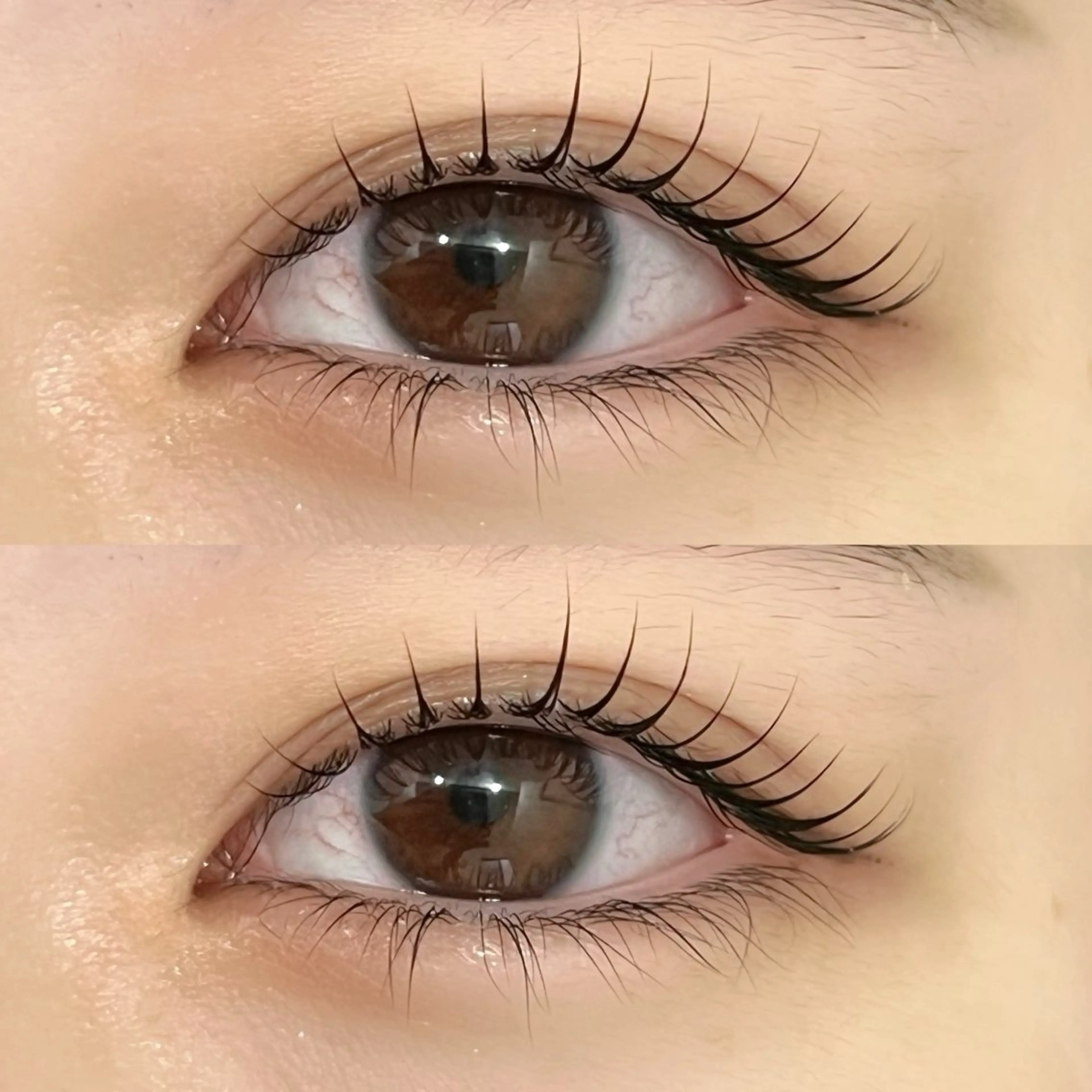 🫧当日予約限定 ラッシュリフト(まつげパーマ)コーティング仕上げ🫧の写真