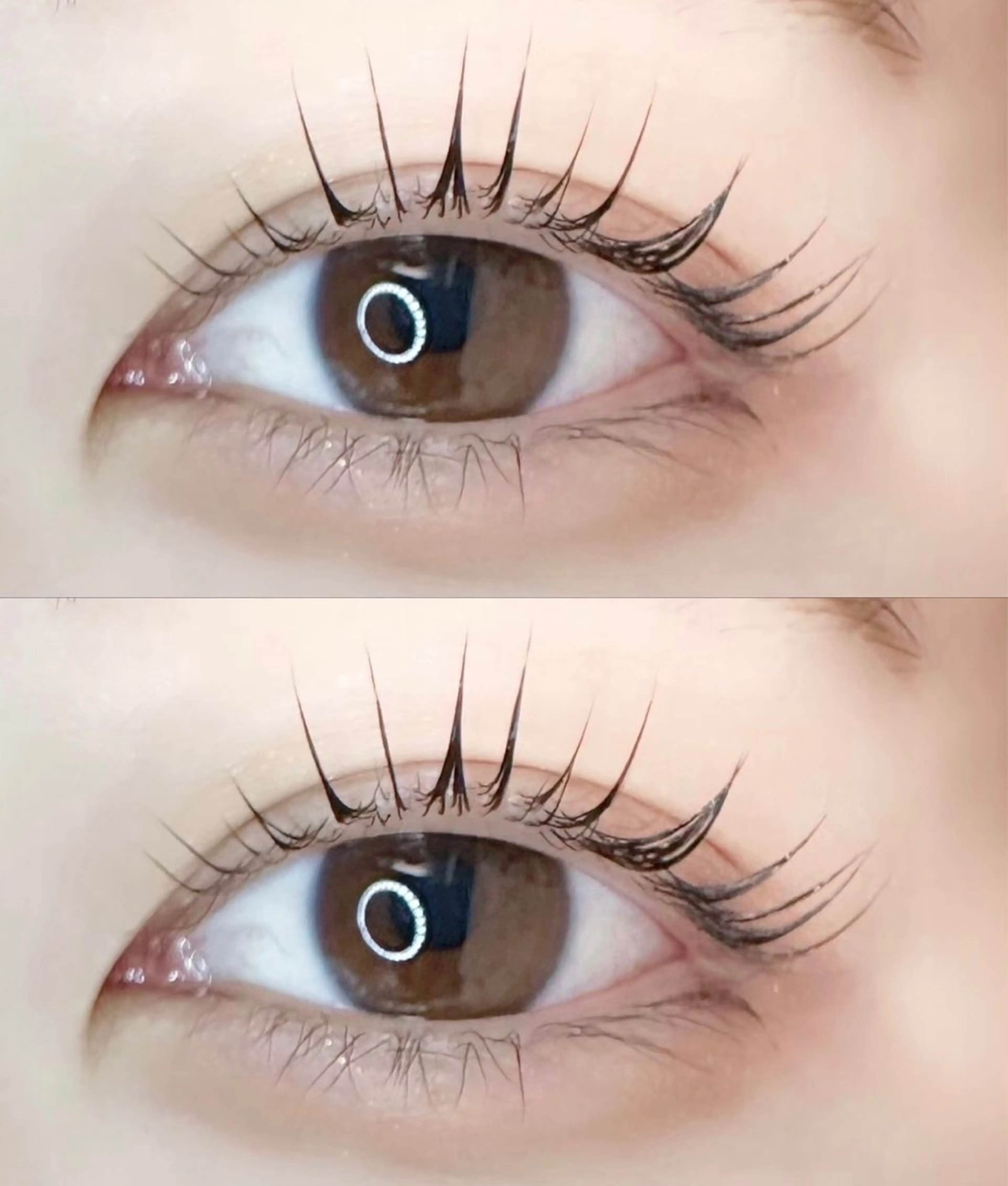 【🌻🧡自まつ毛の負担を軽減🧡🌻】フラットラッシュ100本＋高級コーティング付き💗¥3800の写真