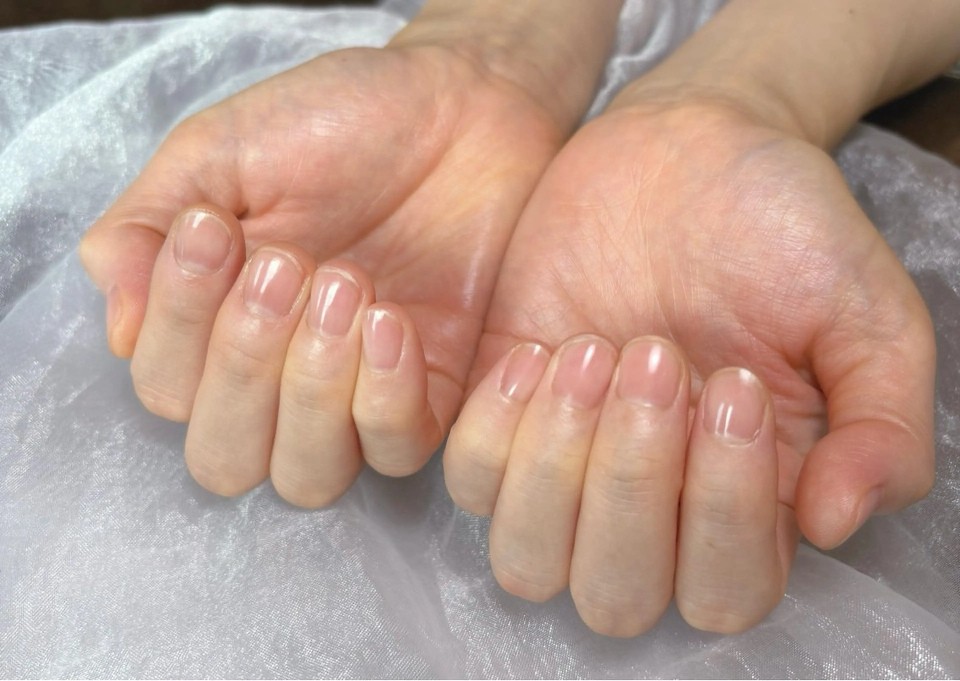 当店ジェルオフの写真