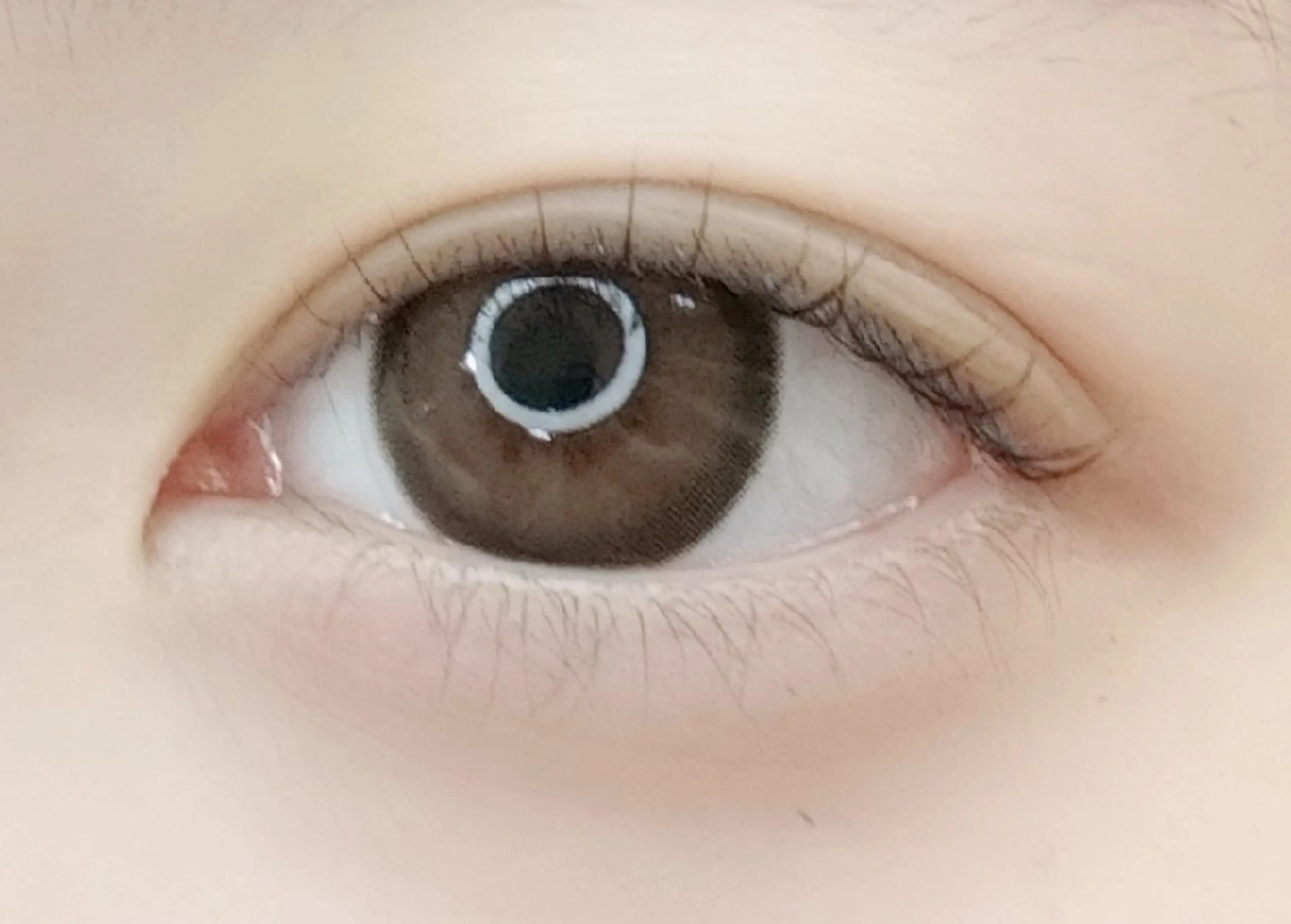 マツエク・マツパ 一重×まつ毛パーマ arms lash 白井のマツエク・マツパデザイン