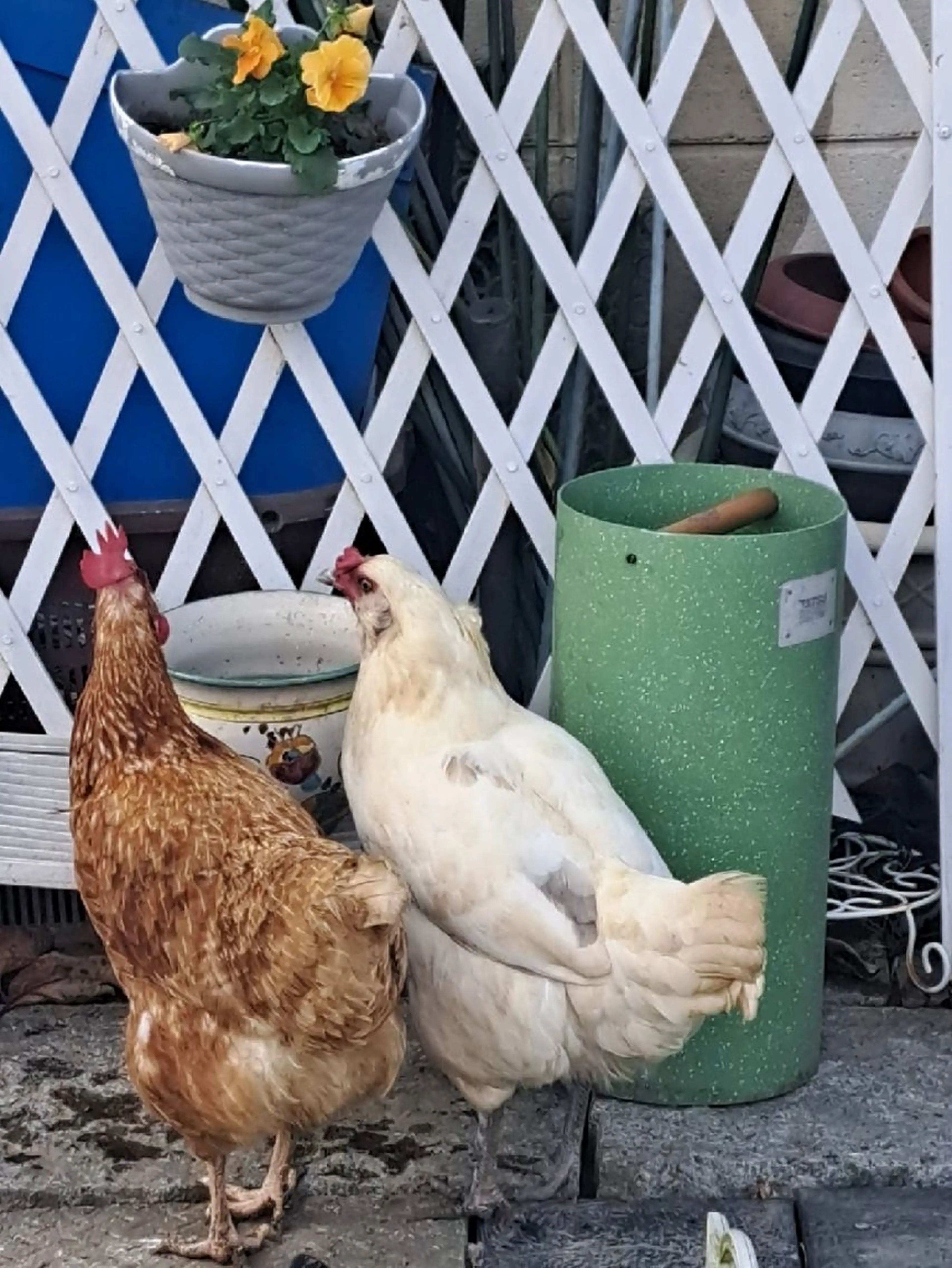 4Care所属・白金 千加子のエステ・リラクイメージ