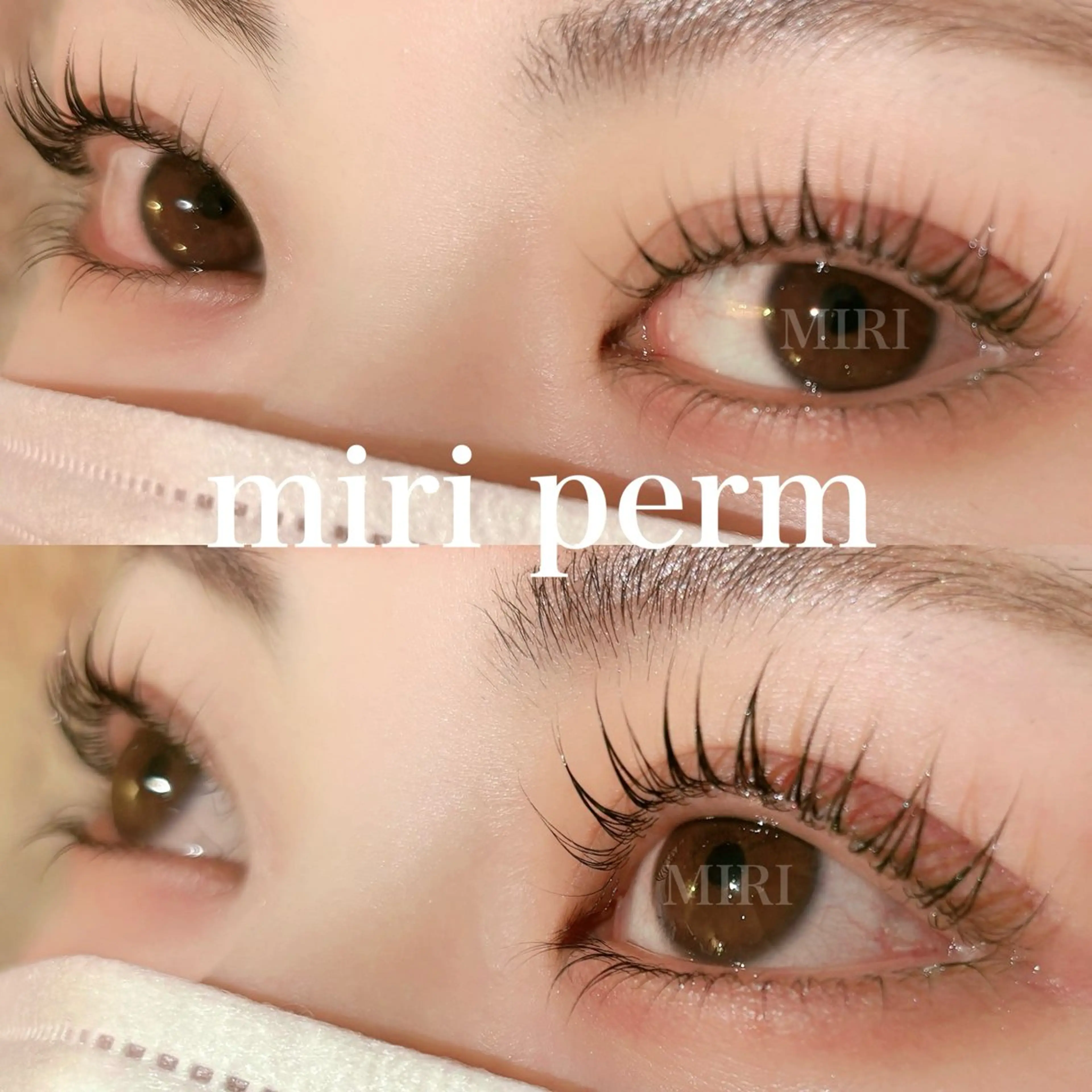 マツエク・マツパ マツパ まつげパーマ&アイブロウMIRI所属・🌷まつ毛パーマ 専門店MIRI 🌷のマツエク・マツパデザイン