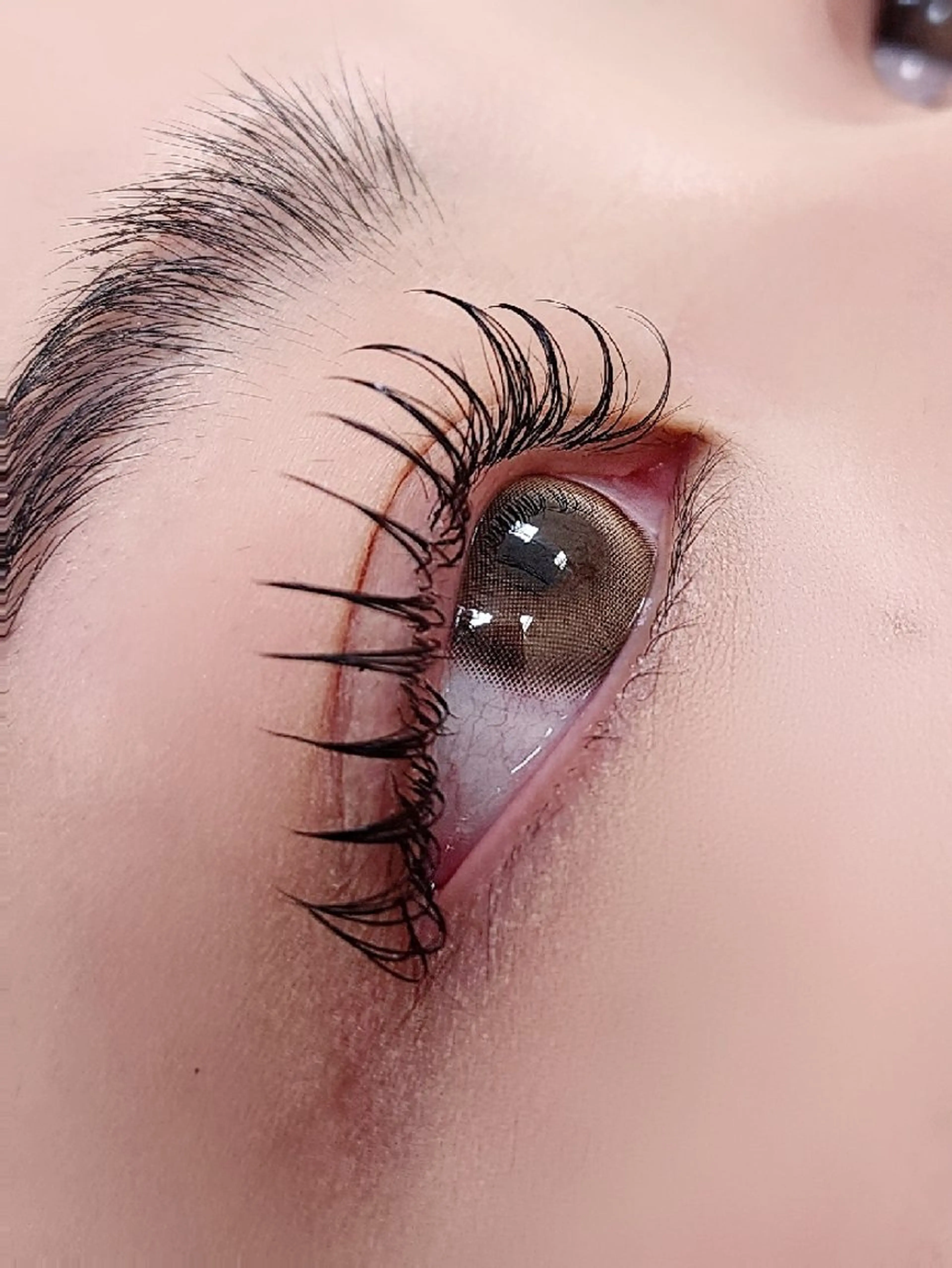 マツエク・マツパ 束感まつ毛 フラットラッシュ Ｍ salon アイラッシュのマツエク・マツパデザイン