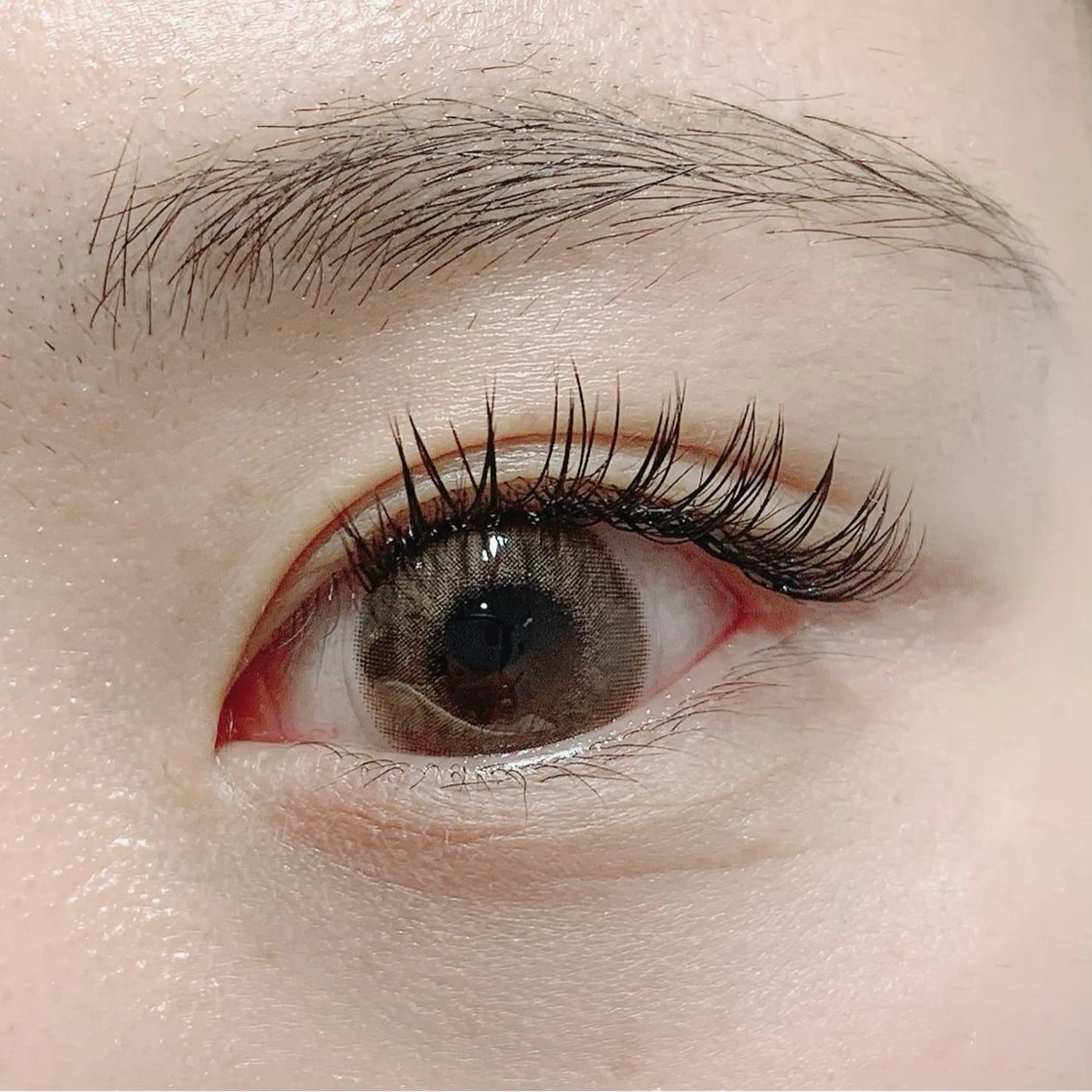 マツエク・マツパ Cカール キュート フラットラッシュ 池袋駅韓国風🇰🇷 束感💗Tomoのマツエク・マツパデザイン