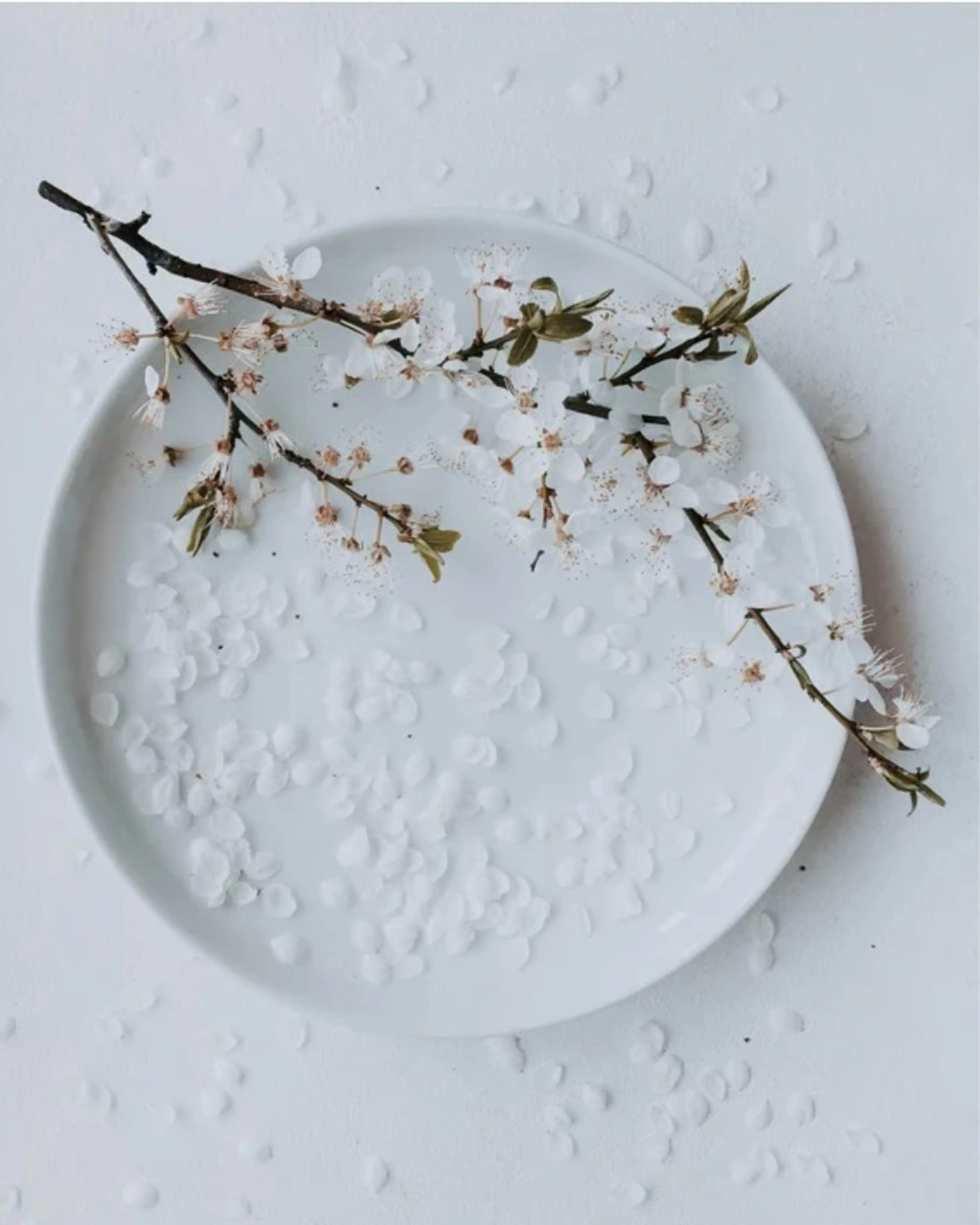 ネイル nailsalon room.のネイルデザイン