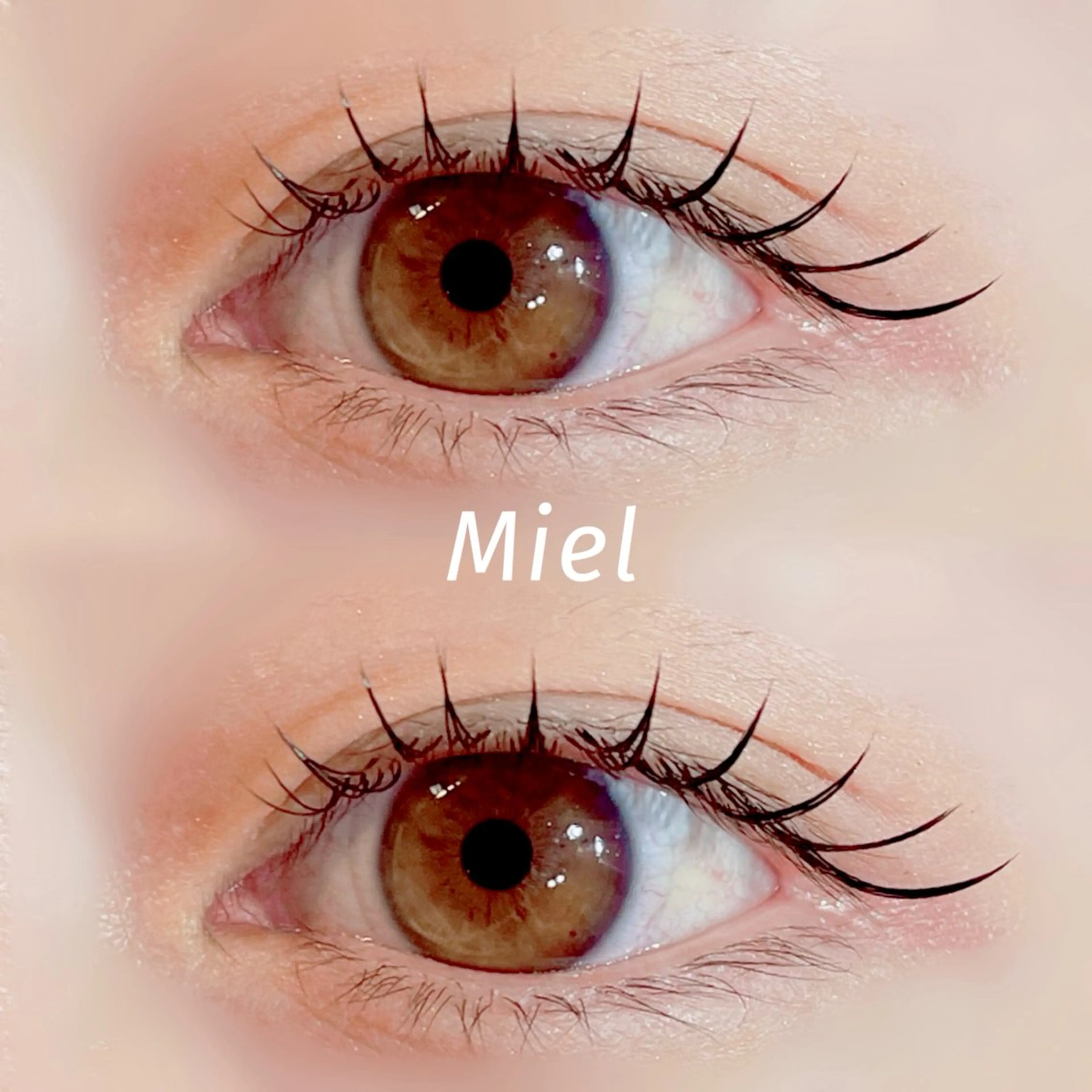 マツエク・マツパ フラットラッシュ ワンホンマツエク Mori ✨Mystical✨のマツエク・マツパデザイン