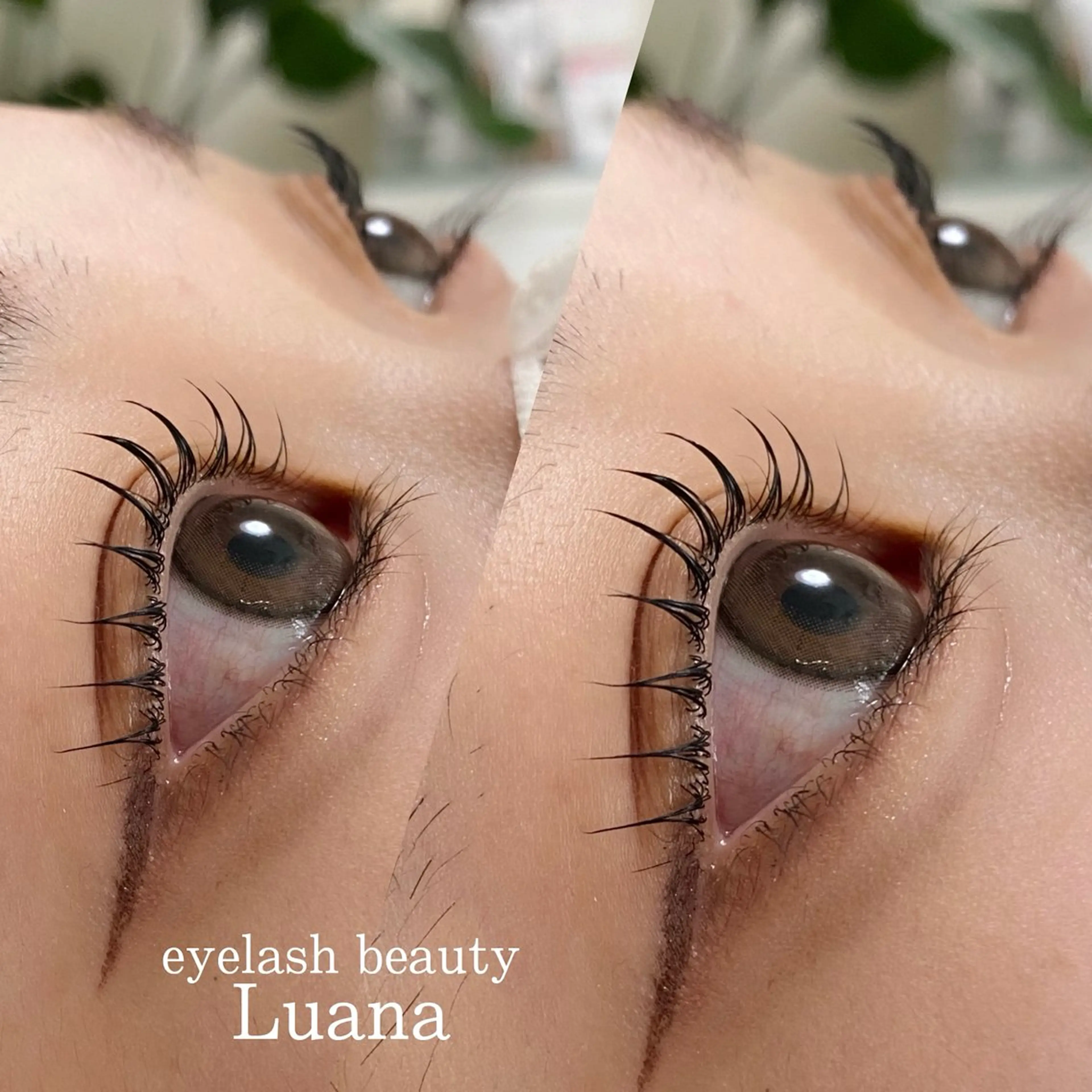 マツエク・マツパ eyelash beauty Luana所属・🌺Luana🐬 yukariのマツエク・マツパデザイン