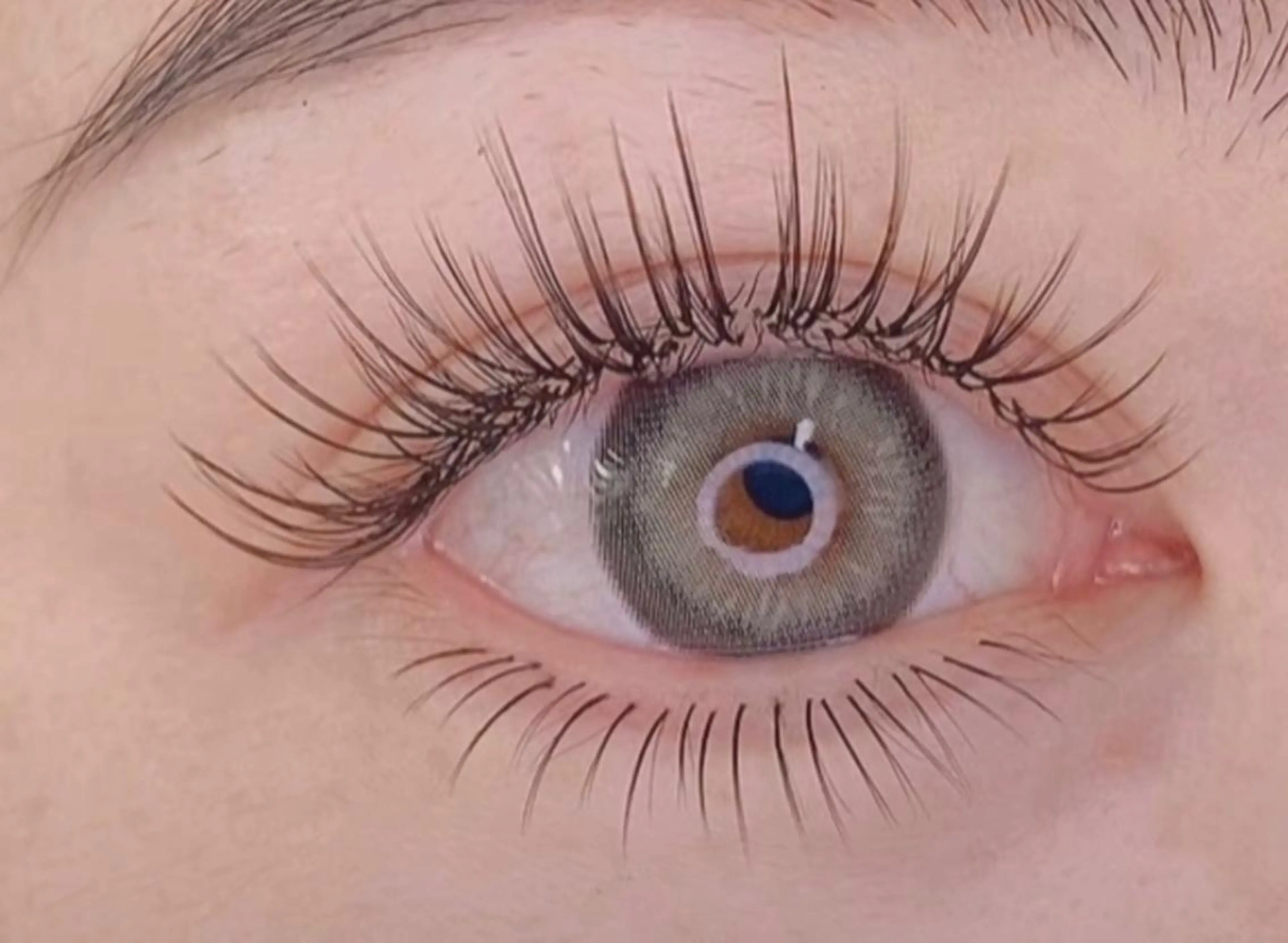 大人気🧚‍♂️ パリエク🧚‍♂️パリジェンヌ（上まつ毛）+ フラットラッシュ2D （100束）キープ美容液 🧚🏼の写真