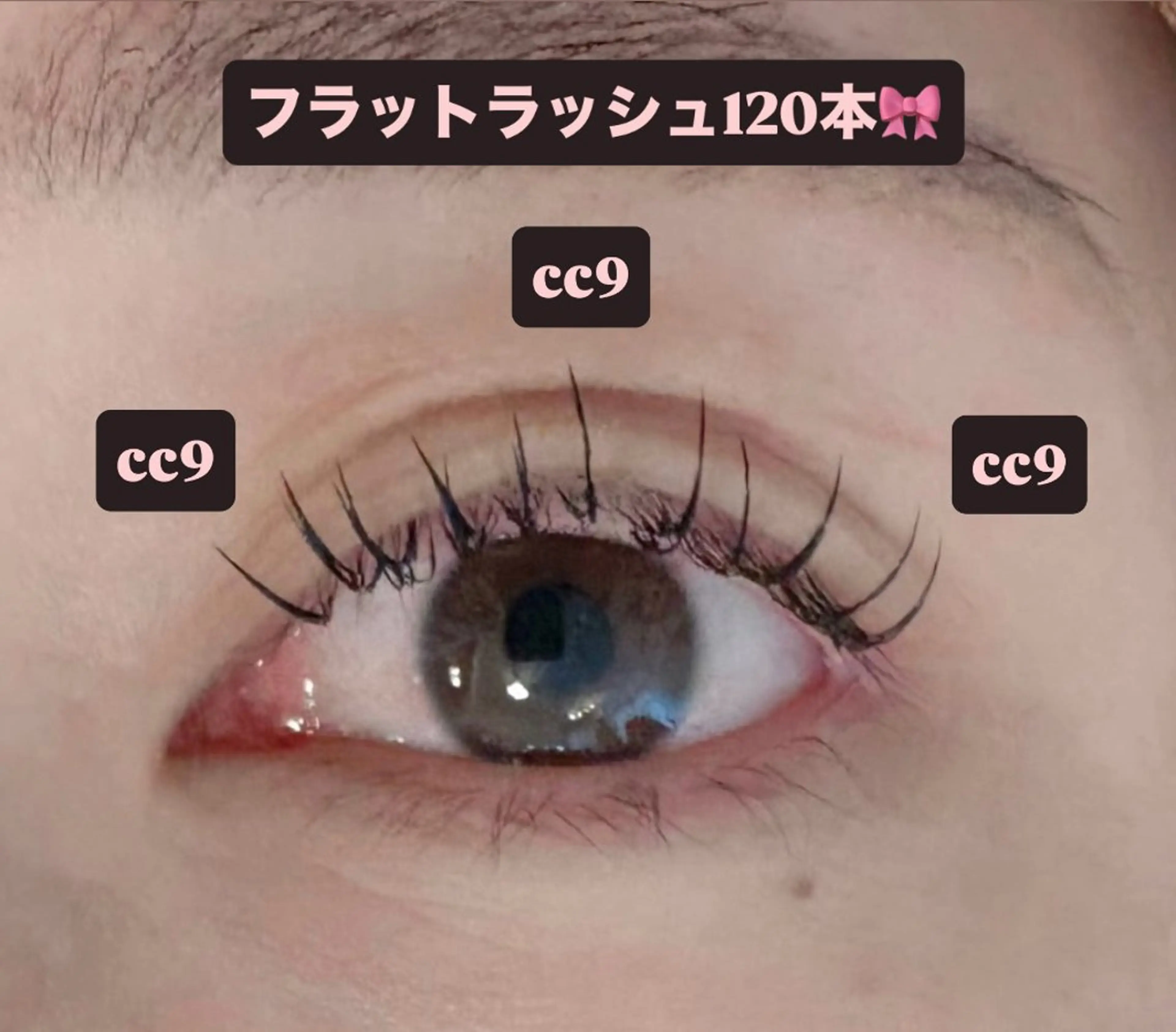 マツエク・マツパ 束感まつ毛 フラットラッシュ マツエク 🎀ROAR🎀 SAYAのマツエク・マツパデザイン