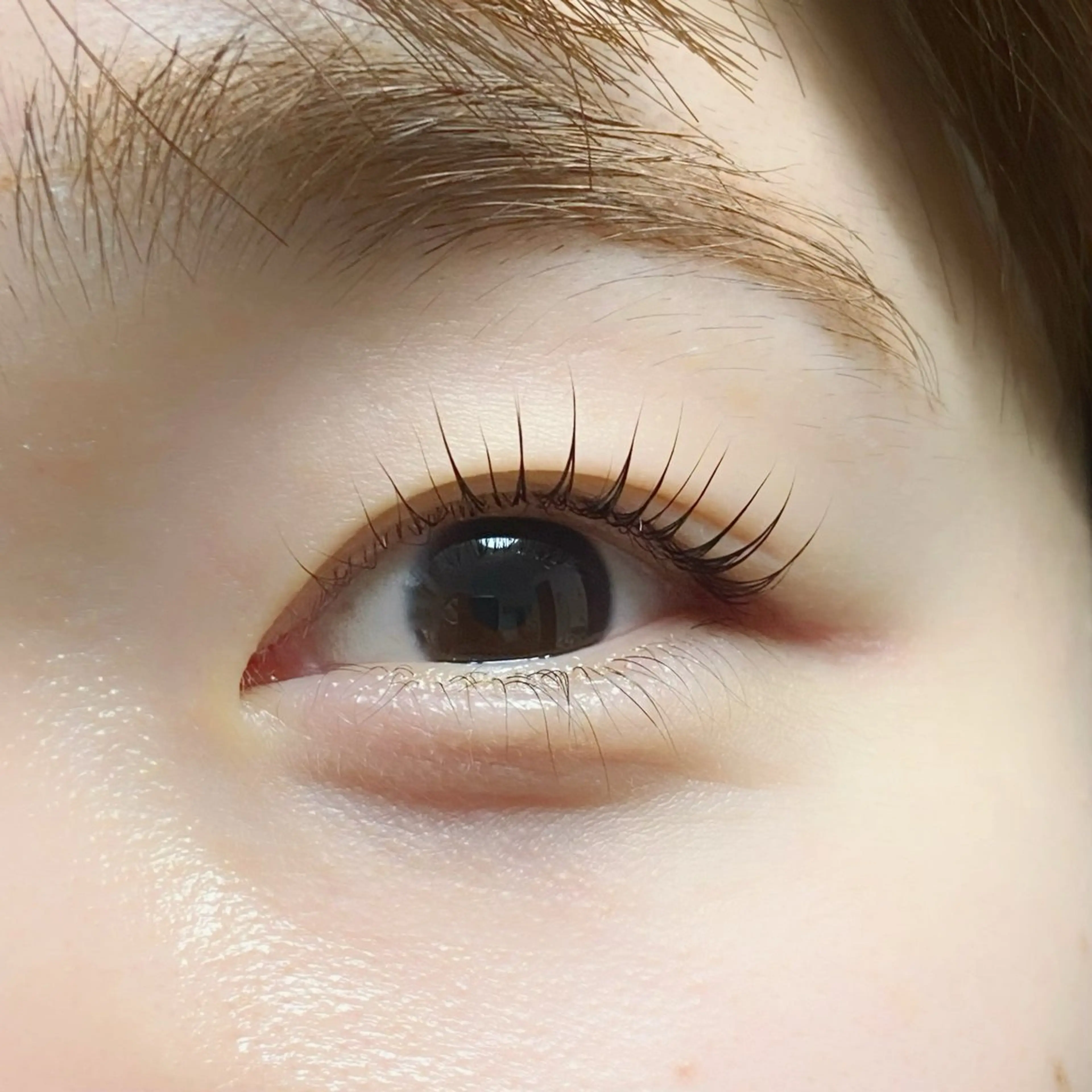 マツエク・マツパ マツパ mahalo / momokoのマツエク・マツパデザイン