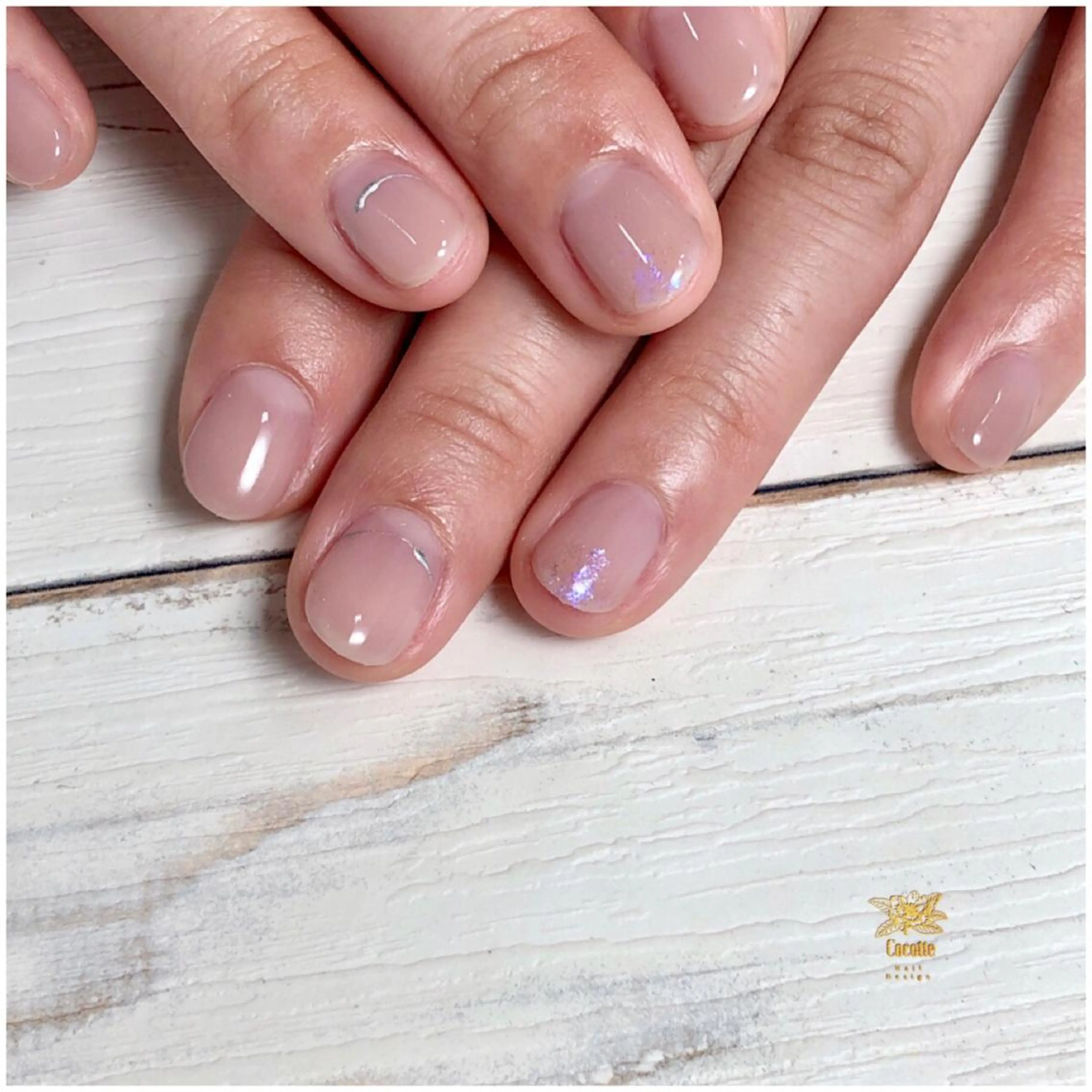 ワンカラーの写真