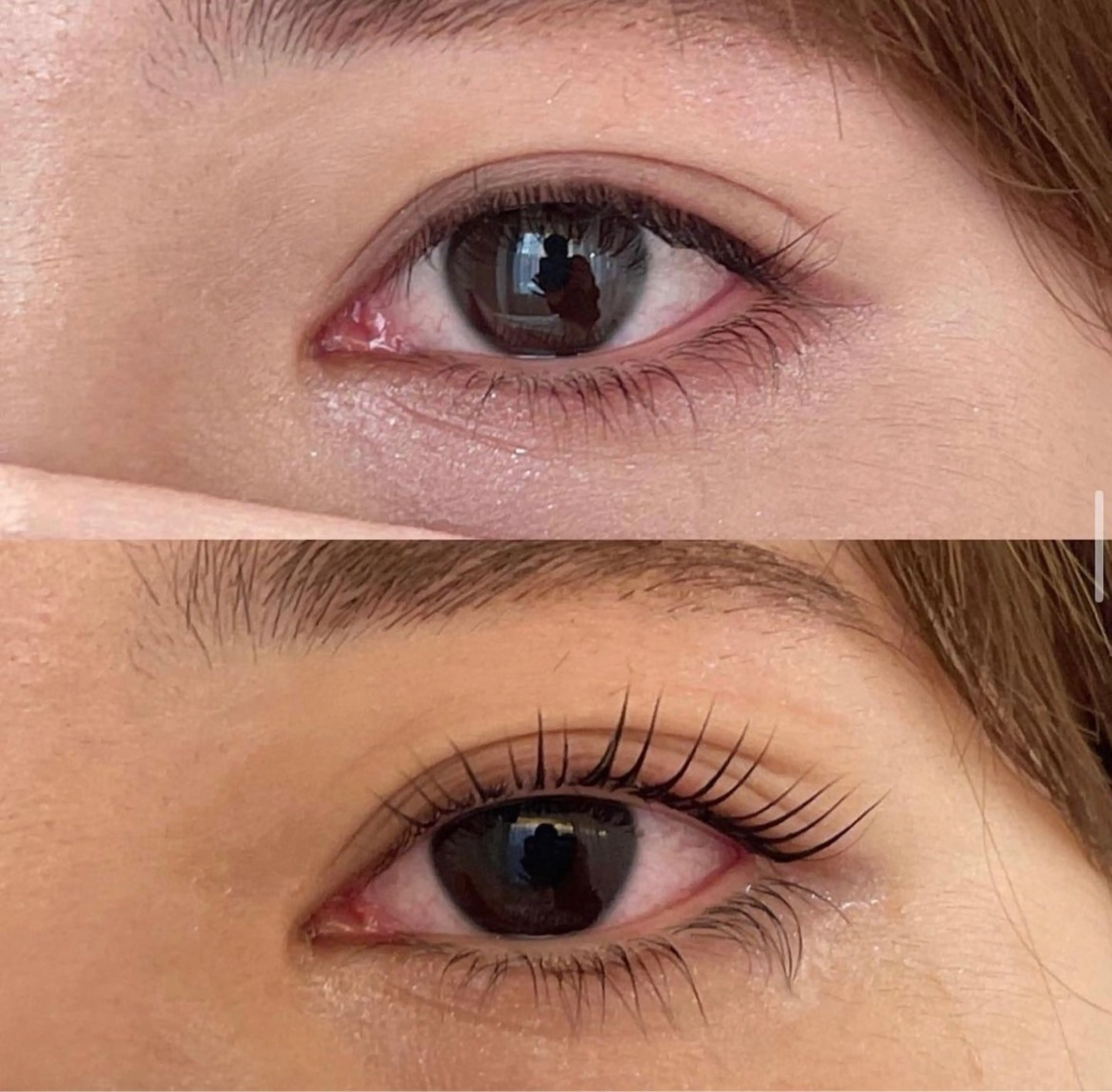 マツエク・マツパ マツパ Embellir/ "Aine"🕊のマツエク・マツパデザイン