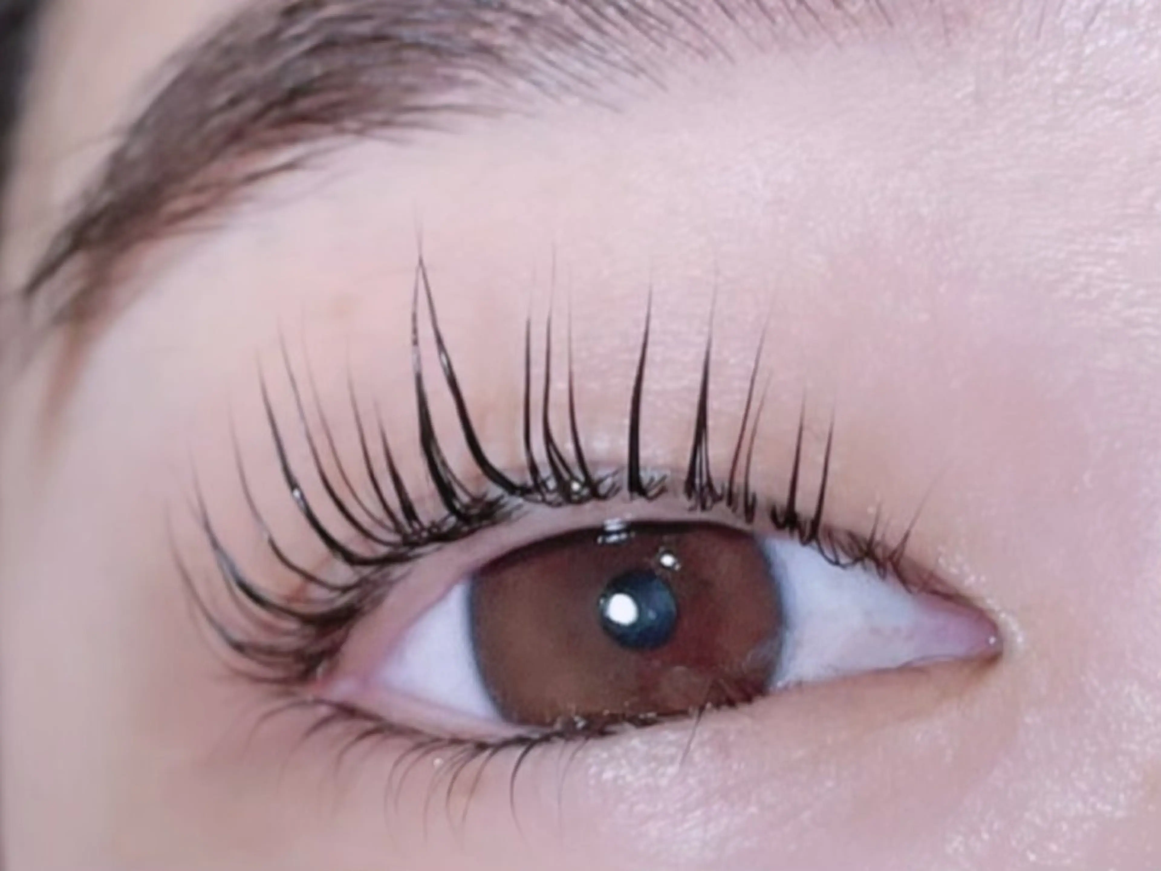 マツエク・マツパ マツパ 新柏PALS mihoのマツエク・マツパデザイン