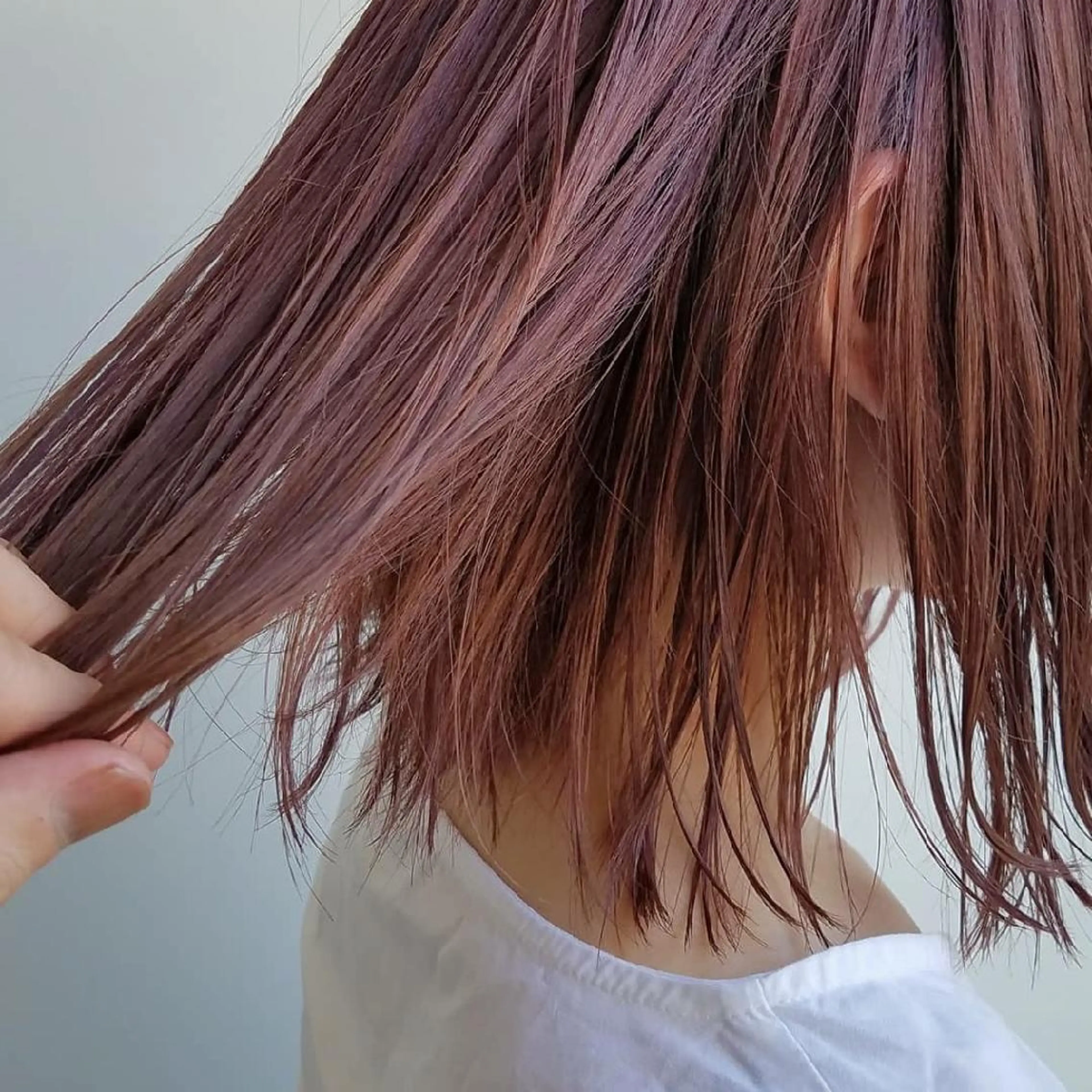 カラー ショート ヘアアレンジ ネイル パーマ マツエク・マツパ ボルドーカラー ピンクカラー カラーマツエク ボルドー ピンク iplus まつげ、眉毛、耳つぼのマツエク・マツパデザイン